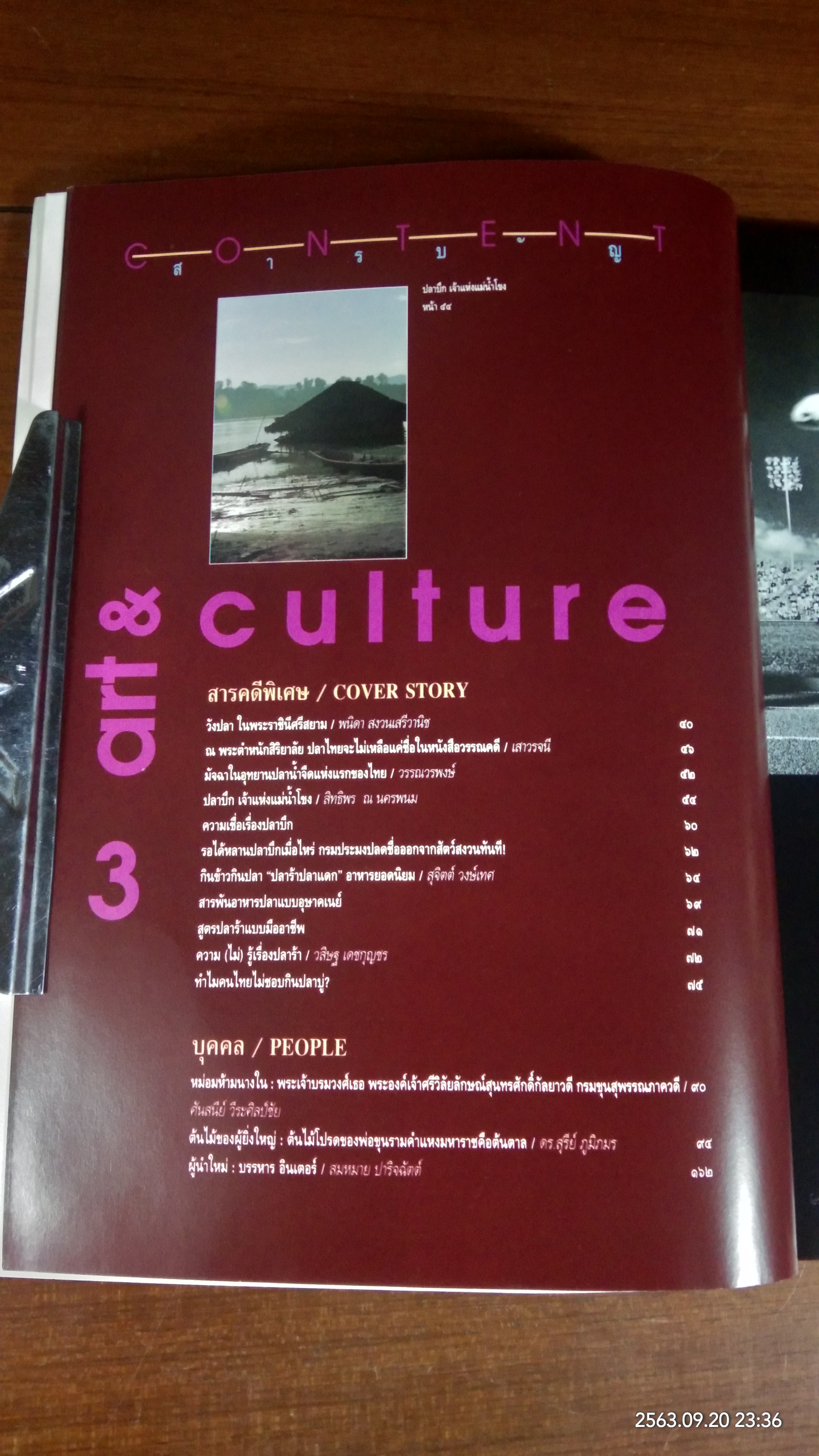 ศิลปวัฒนธรรม : ปีที่ 16 ฉบับที่ 10