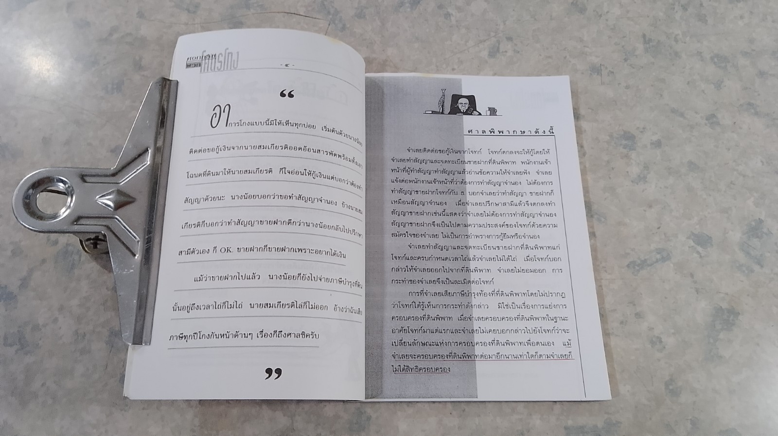 ศอกกลับพวกโคตรโกง / ฎีกา