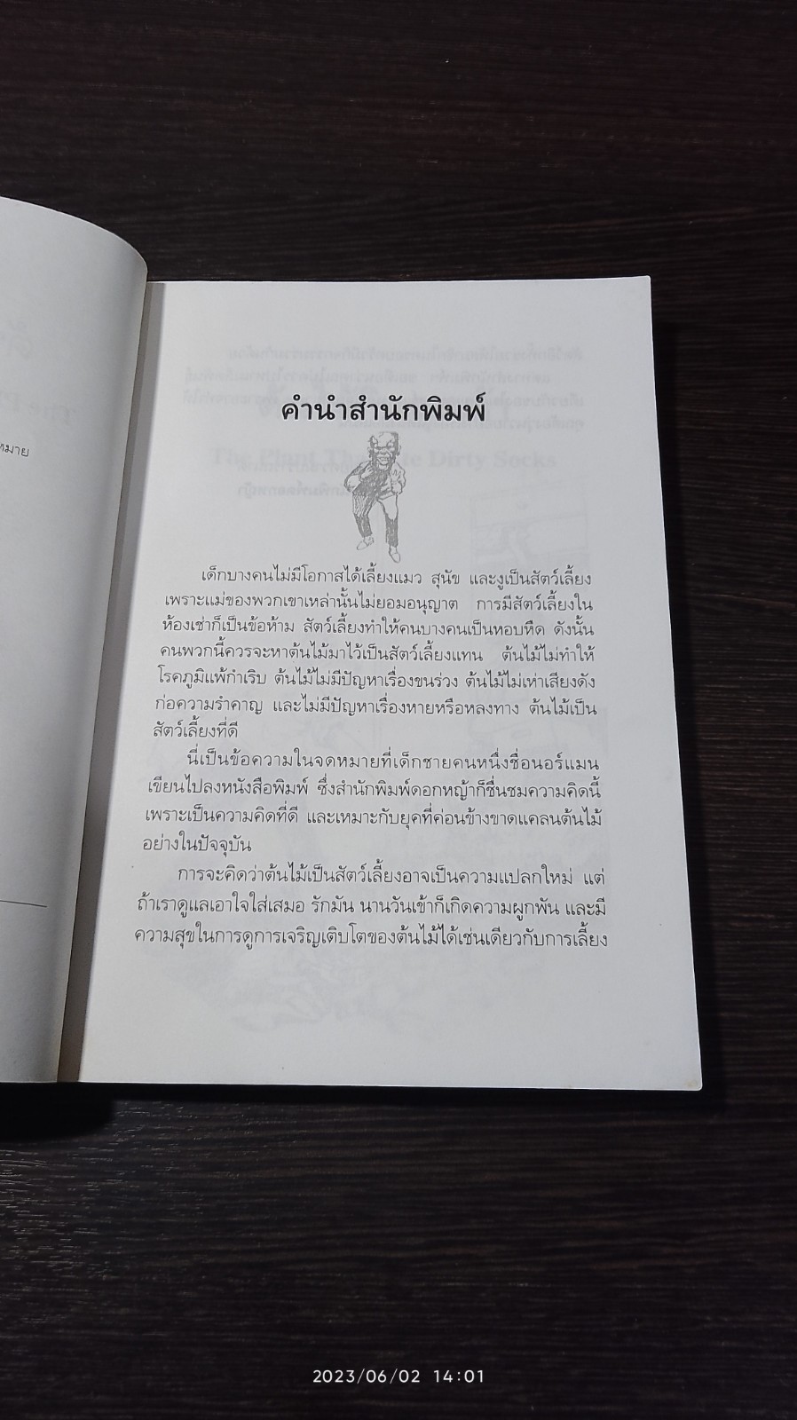 ต้นไม้กินถุงเท้า / แนนซี แมกอาร์เทอร์