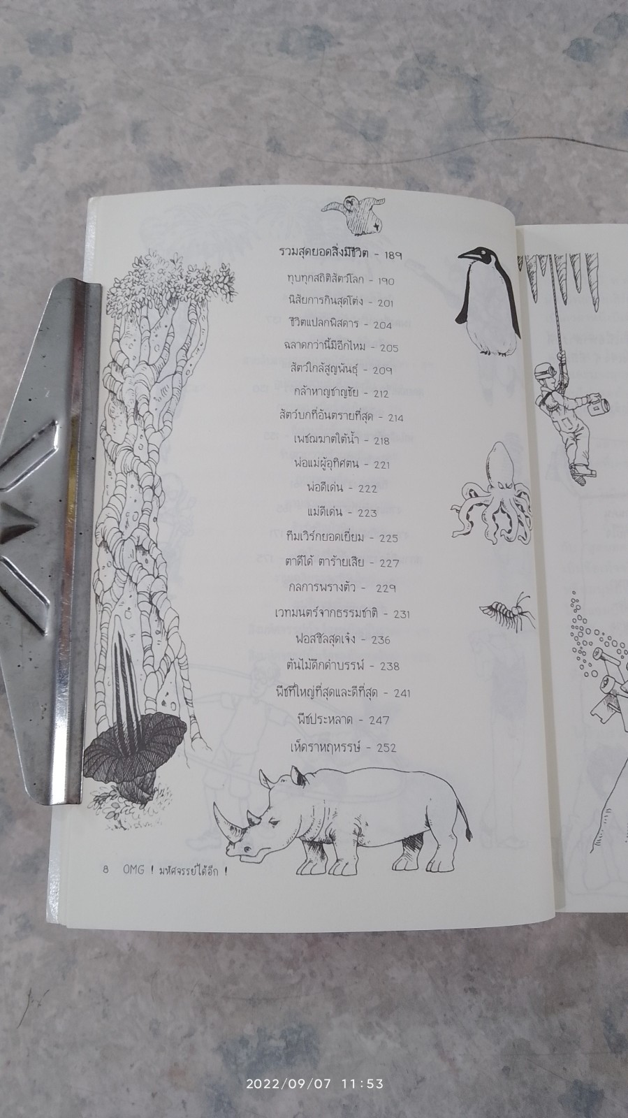 OMG! มหัศจรรย์ได้อีก! / Jan Payne