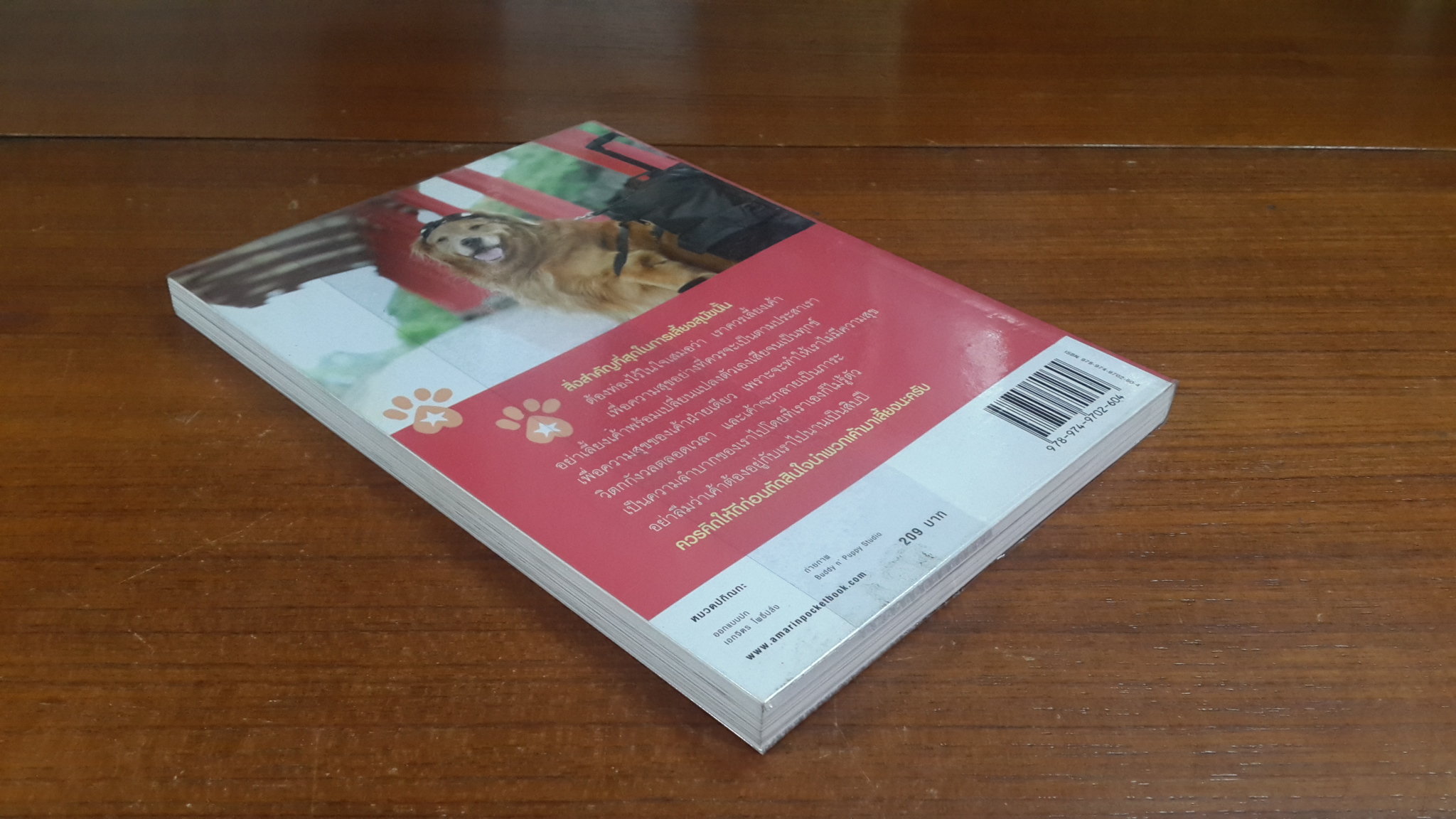 ผมชื่อคิงคองคร้าบ เล่มพิเศษ ตอน คิงคอง ปาร์ตี้