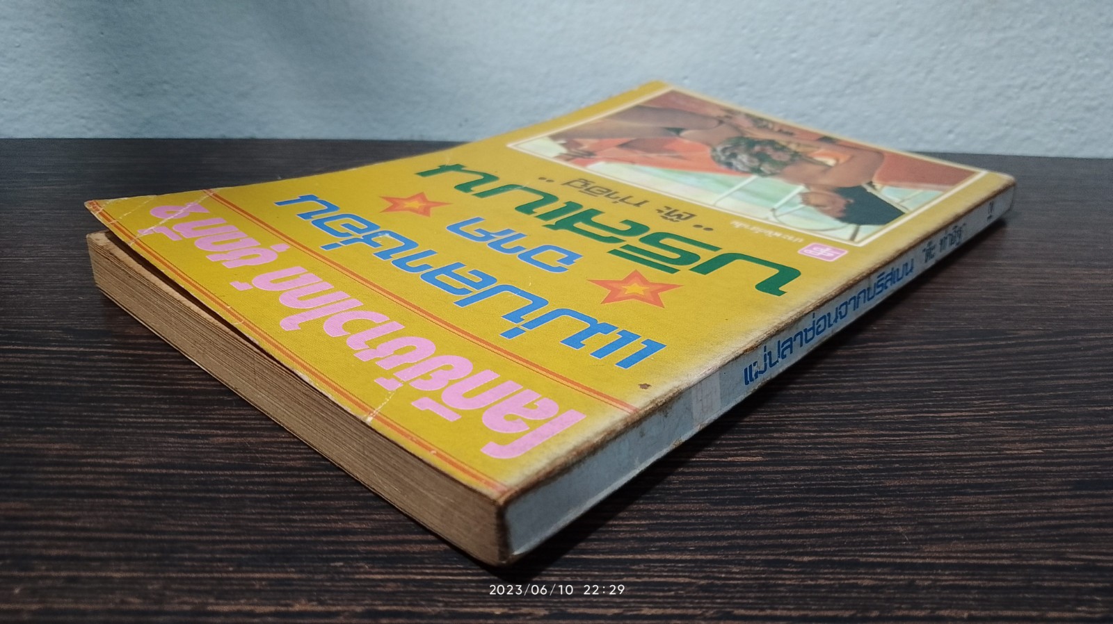 แม่ปลาช่อนจากบริสเบน / ตีะ ท่าอิฐ