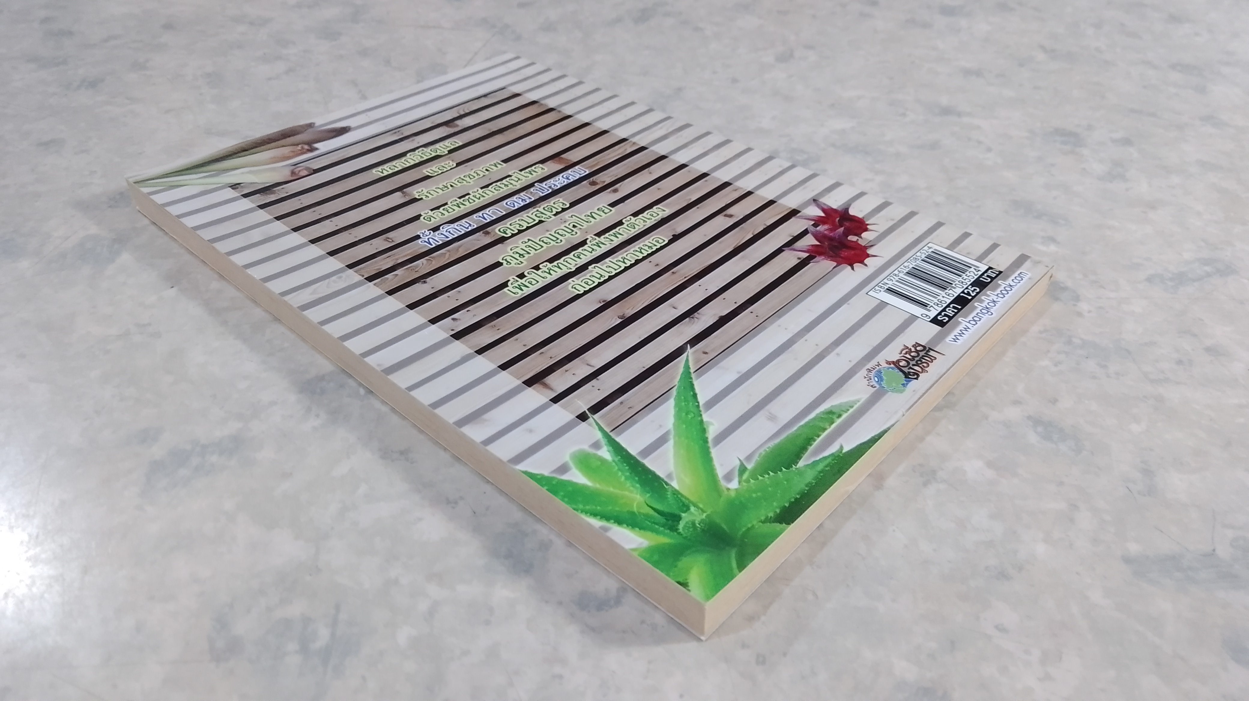 กิน ทา ดม ประคบ ครบสูตรยาสมุนไพร / พญ.อารีย์ โอบอ้อมรัก