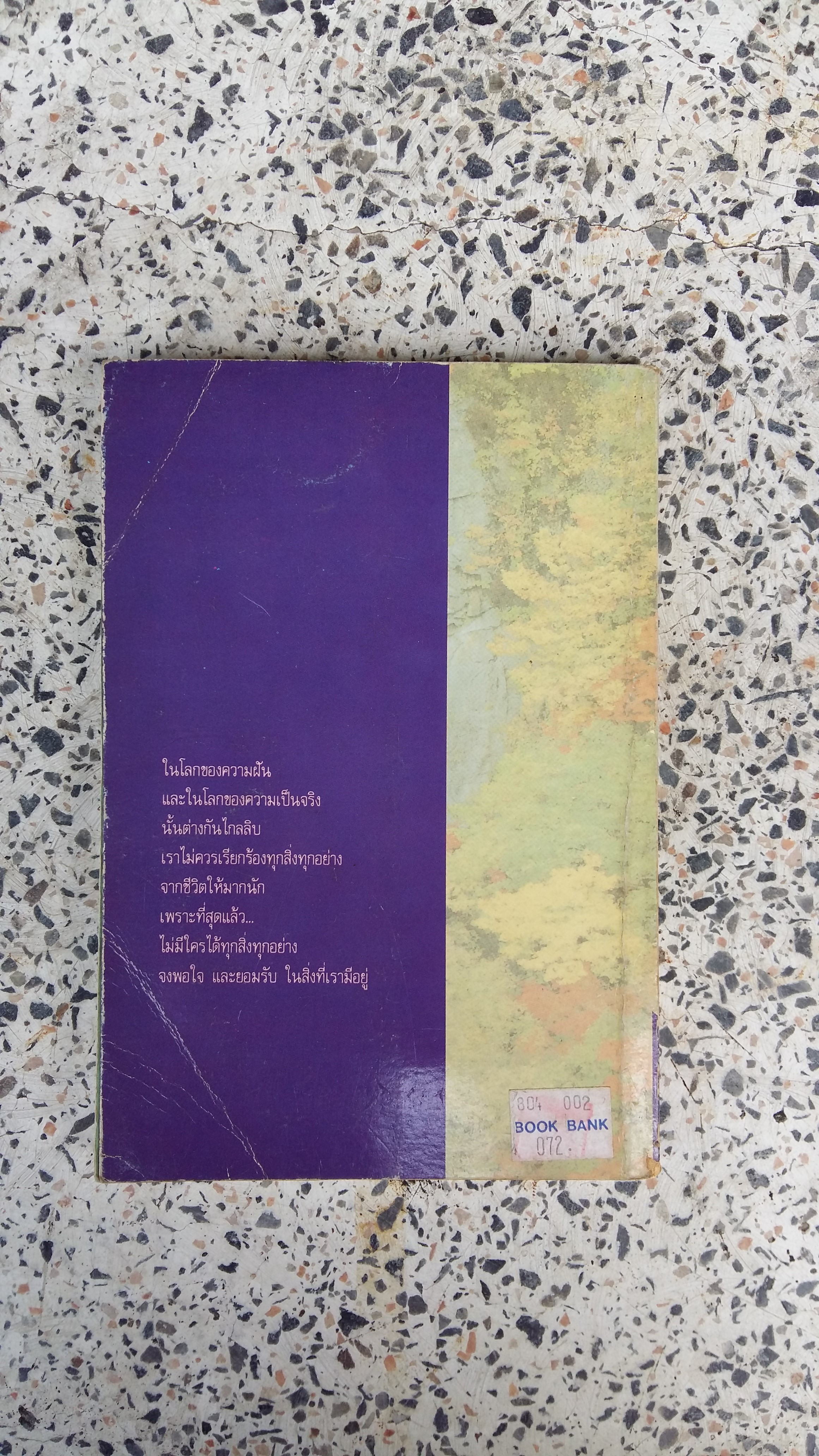 กระจกใบไม้ / วดีลดา เพียงศิริ