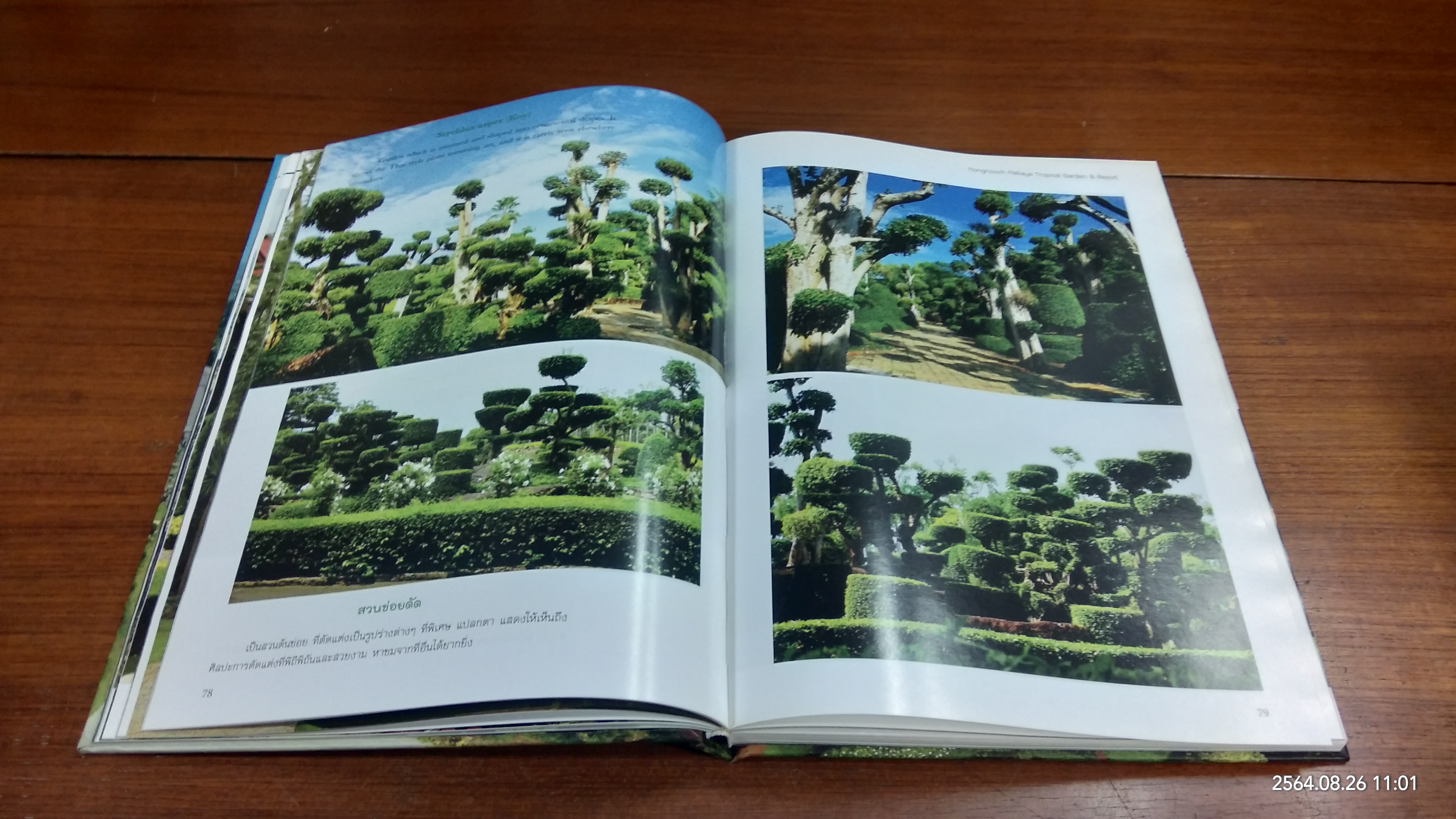 สวนพฤกษศาสตร์นงนุช พัทยา