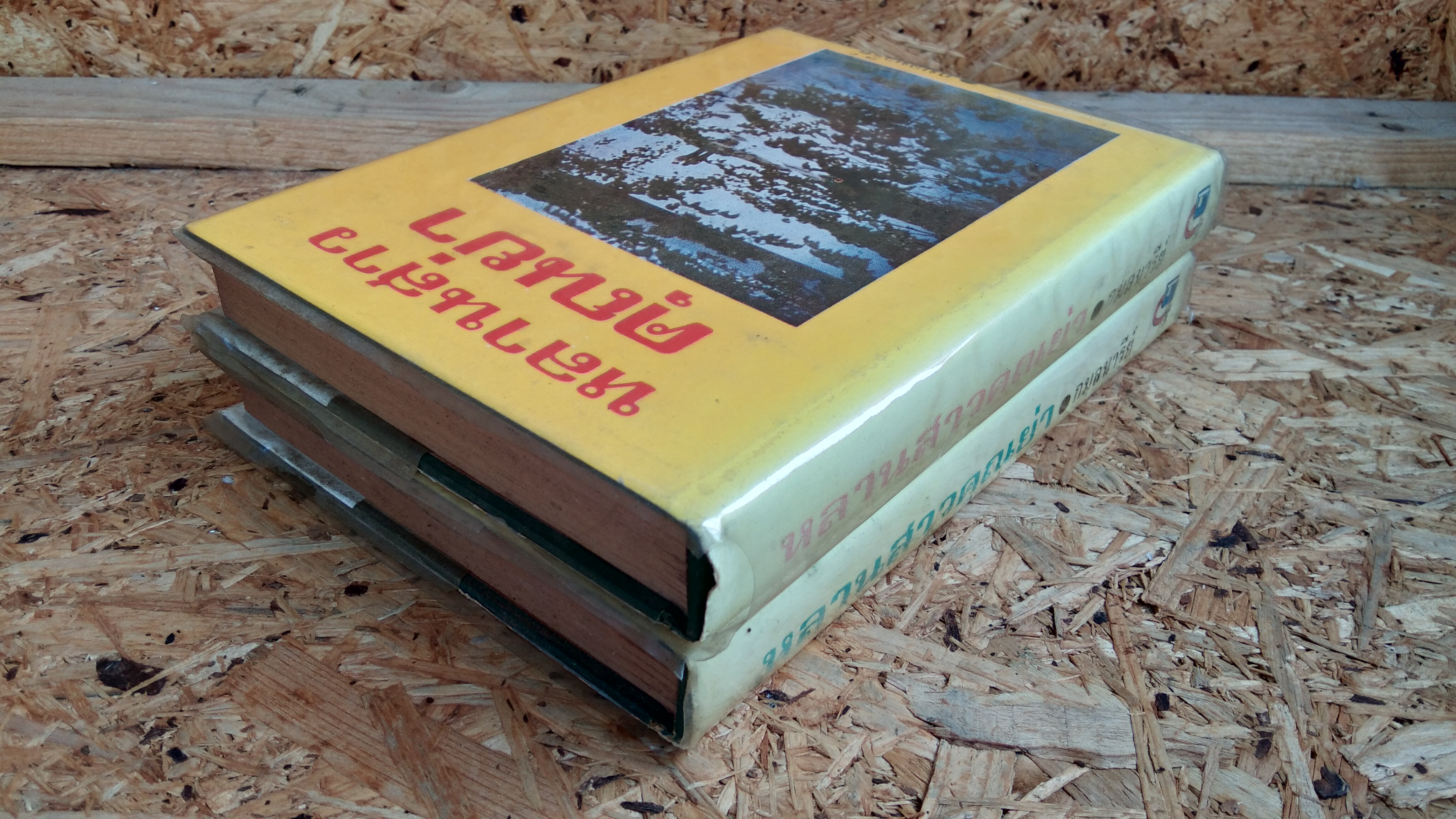 หลานสาวคุณย่า (2เล่มจบ) / กมลนารีย์