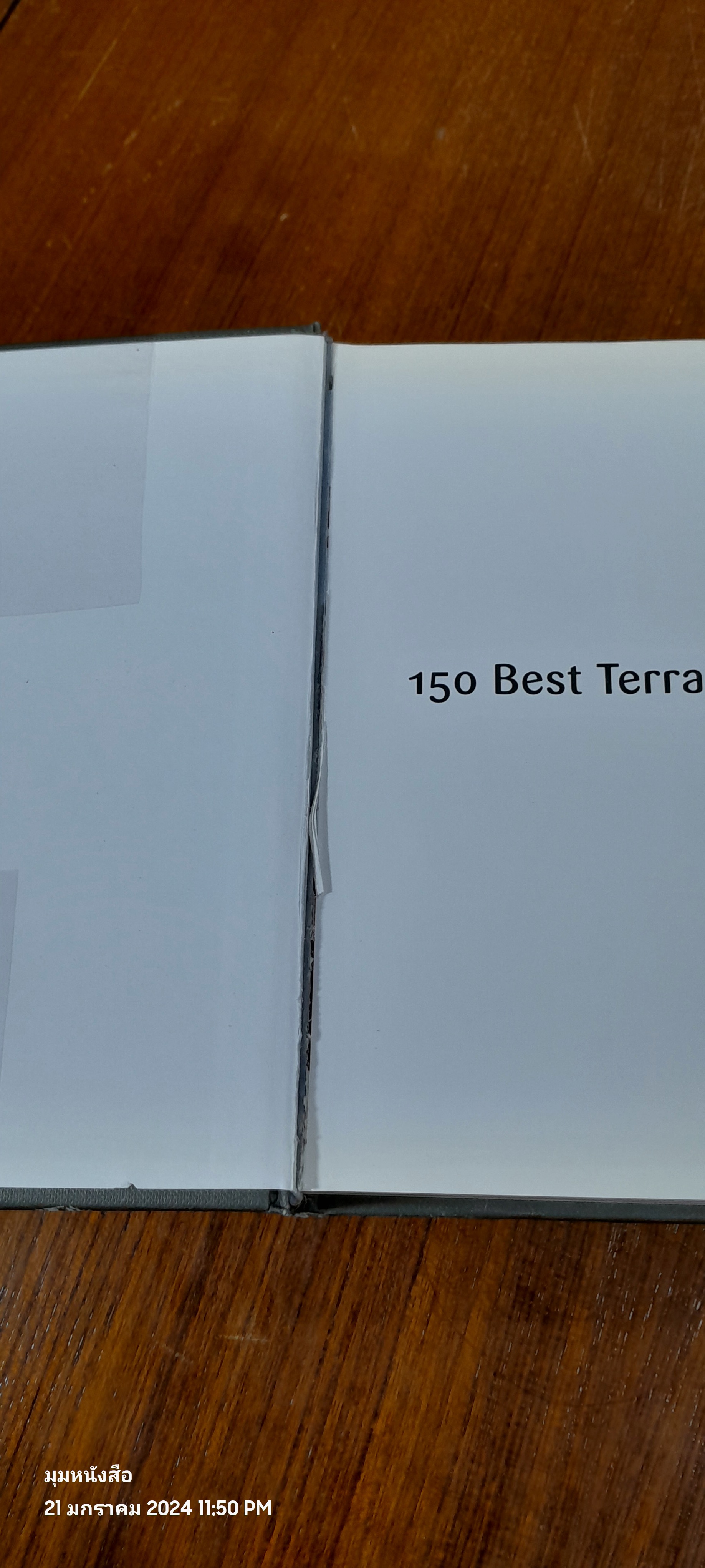 150 Best Terrace and Balcony Ideas / Irene Alegre (สภาพไม่สมบูรณ์)