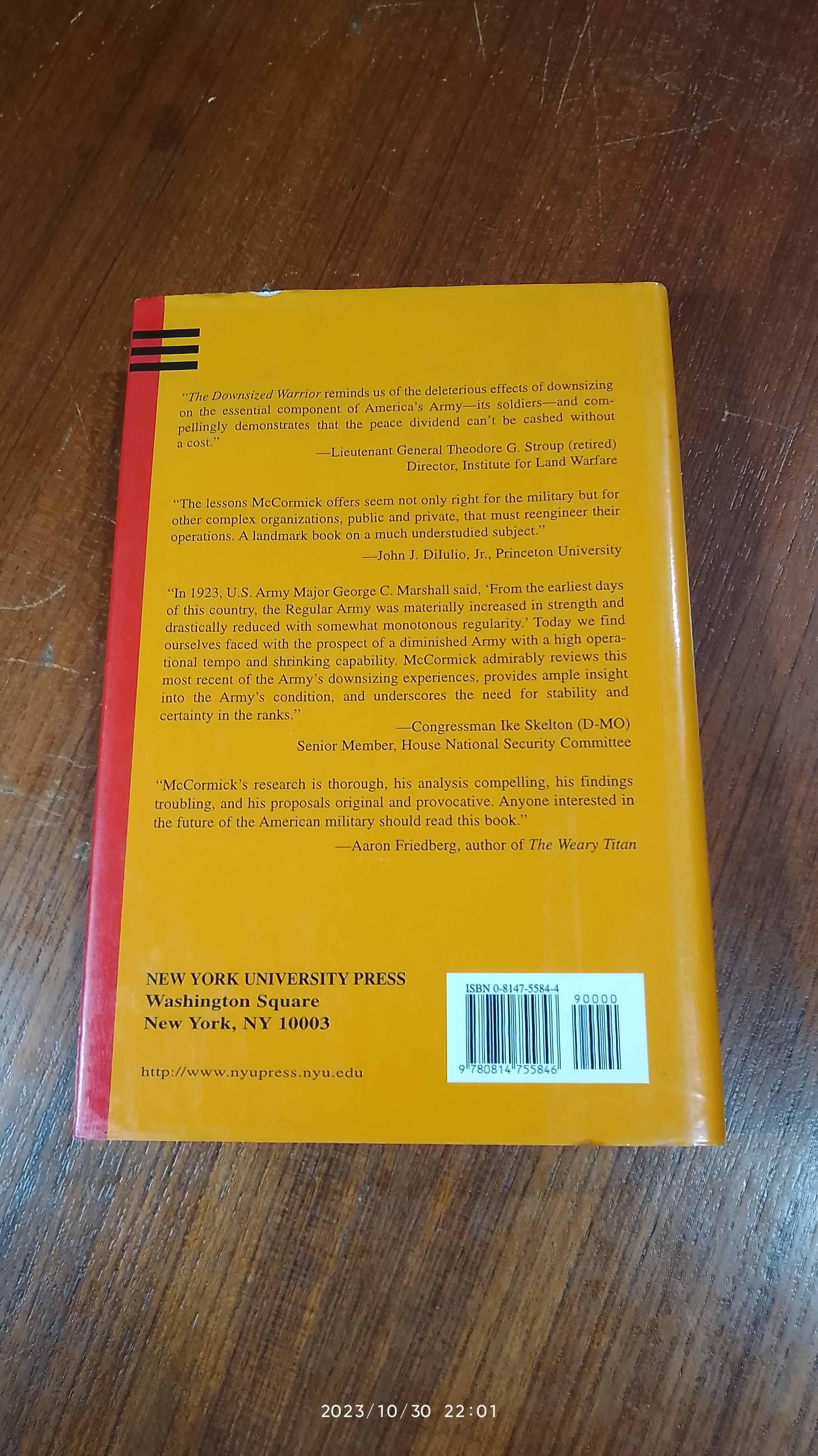 THE DOWNSIZED WARRIOR / David H McCormick