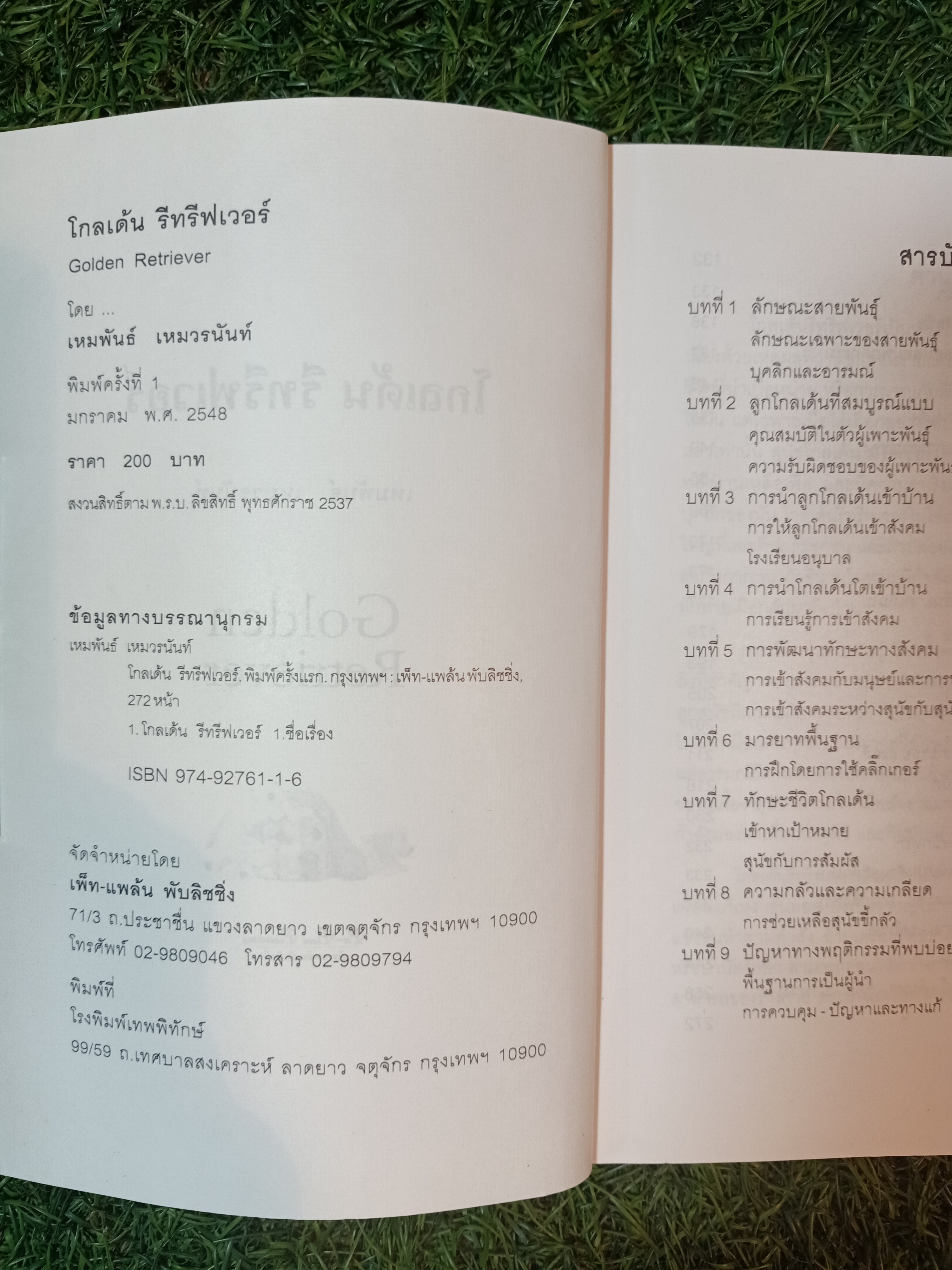 โกลเด้น รีทรีฟเวอร์ / เหมพันธ์ เหมวรนันท์