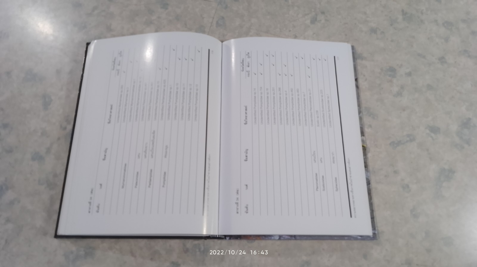 ความหลากหลายทางชีวภาพในป่าชายเลน อ่าวพังงา