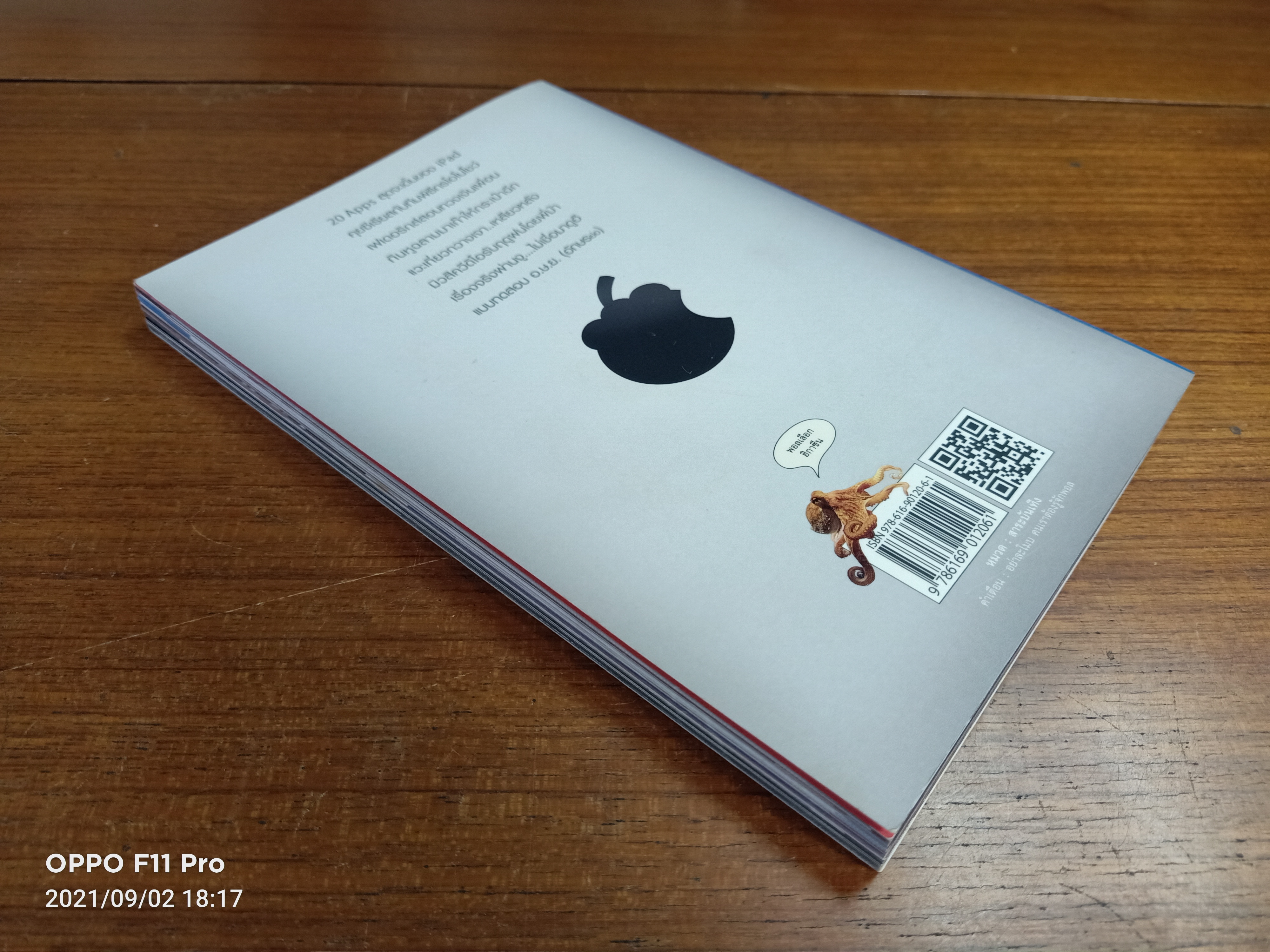 ฮิกาซีน iPad stuPad / มังกรกินหมู