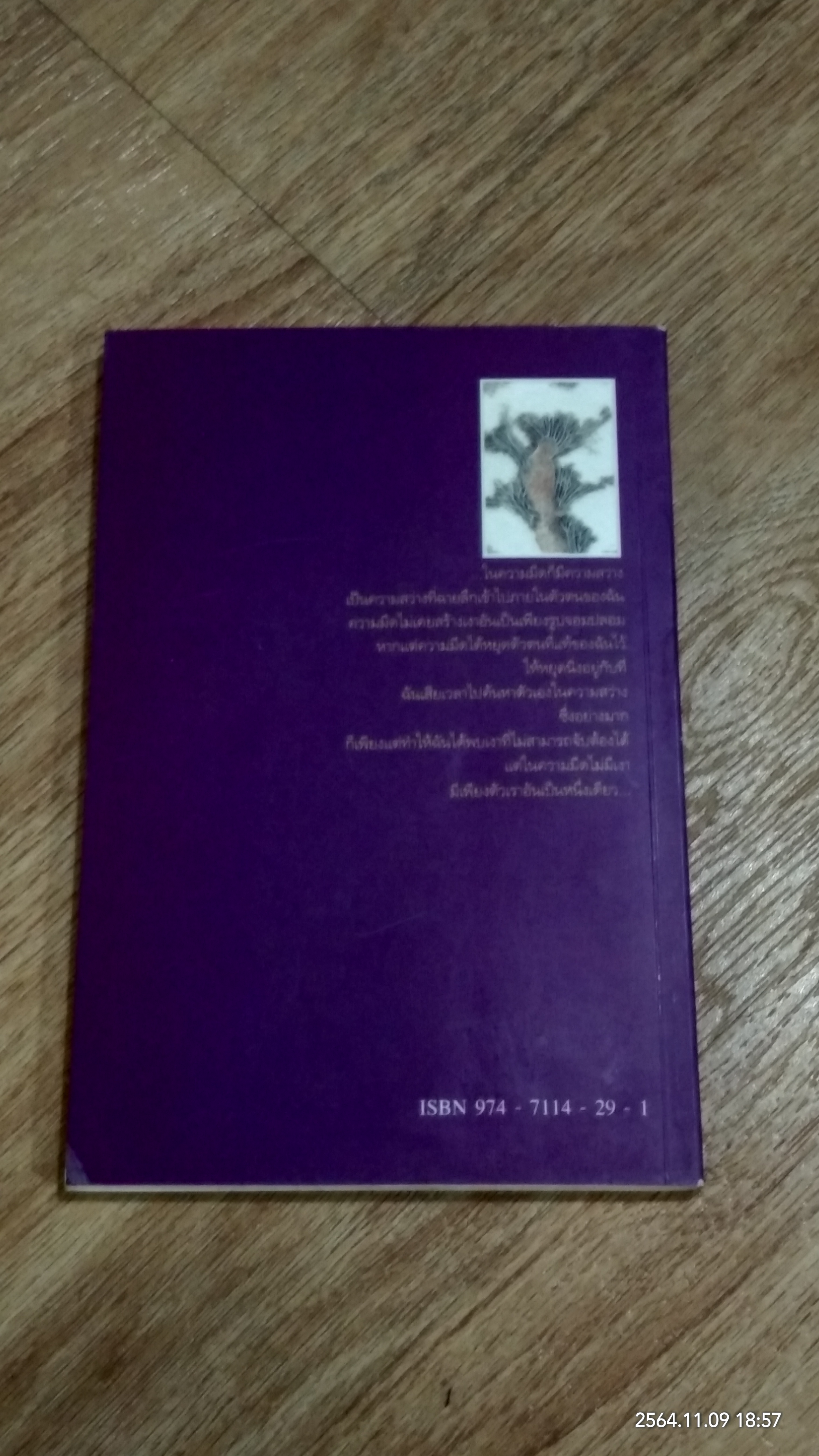 รอยเท้าบนปุยเมฆ / เสถียร จันทิมาธร