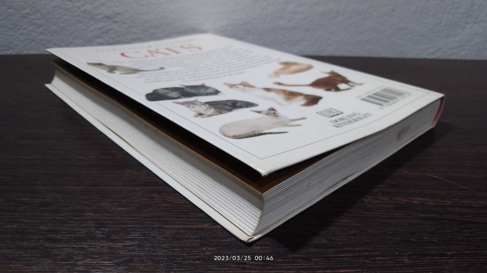 CATS / David Alderton