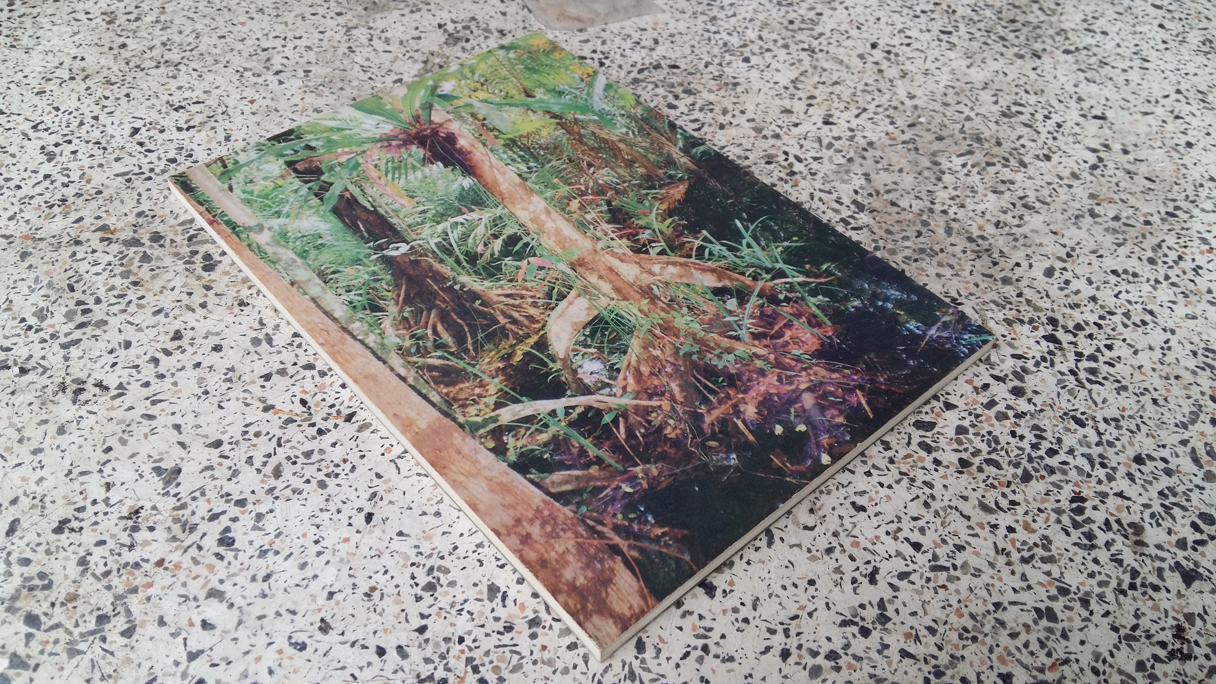 ป่าพรุโต๊ะแดง