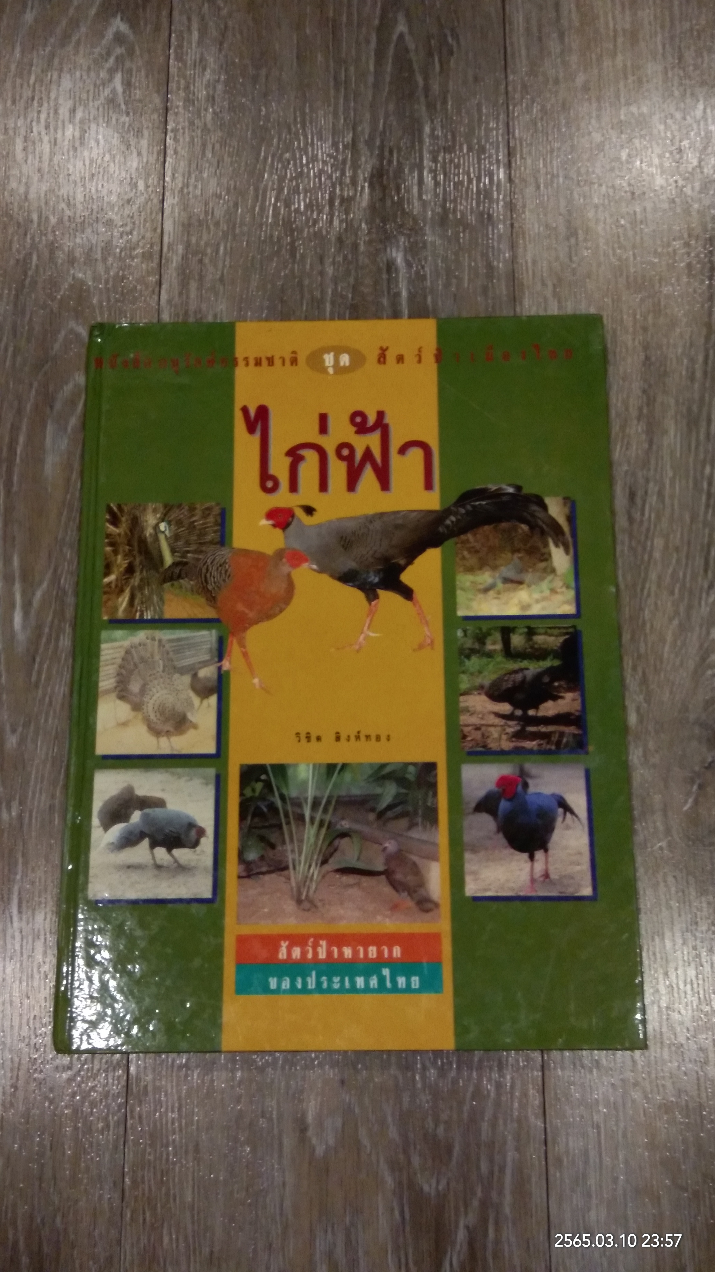 ไก่ฟ้า สัตว์ป่าหายาก ของไทย / วิชิต สิงห์ทอง