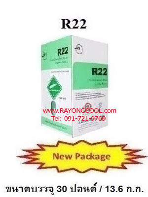 น้ำยาแอร์ R22