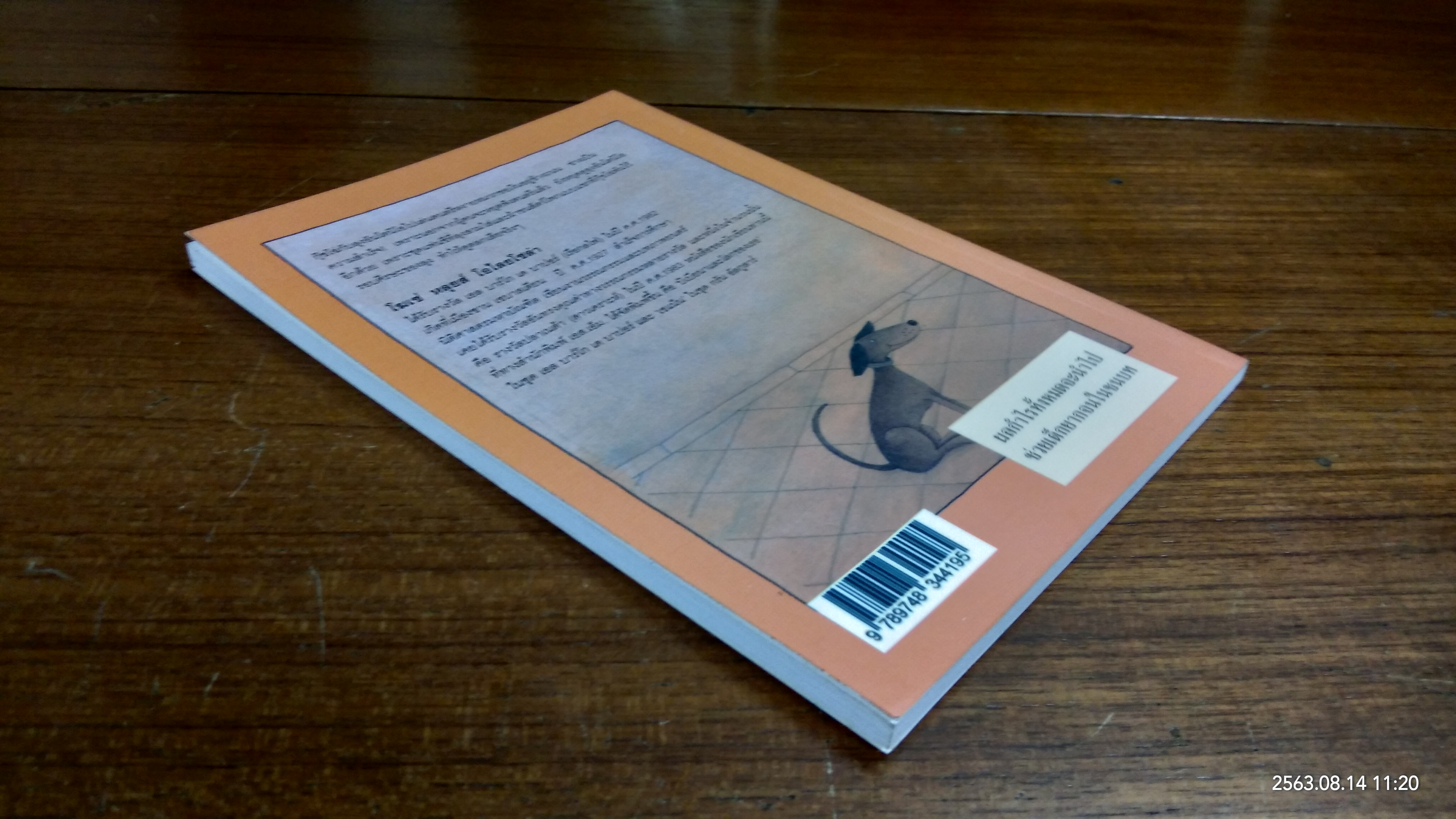 กุ๊ชโฉ่ / โฆเซ่ หลุยส์ โอไลยโซล่า