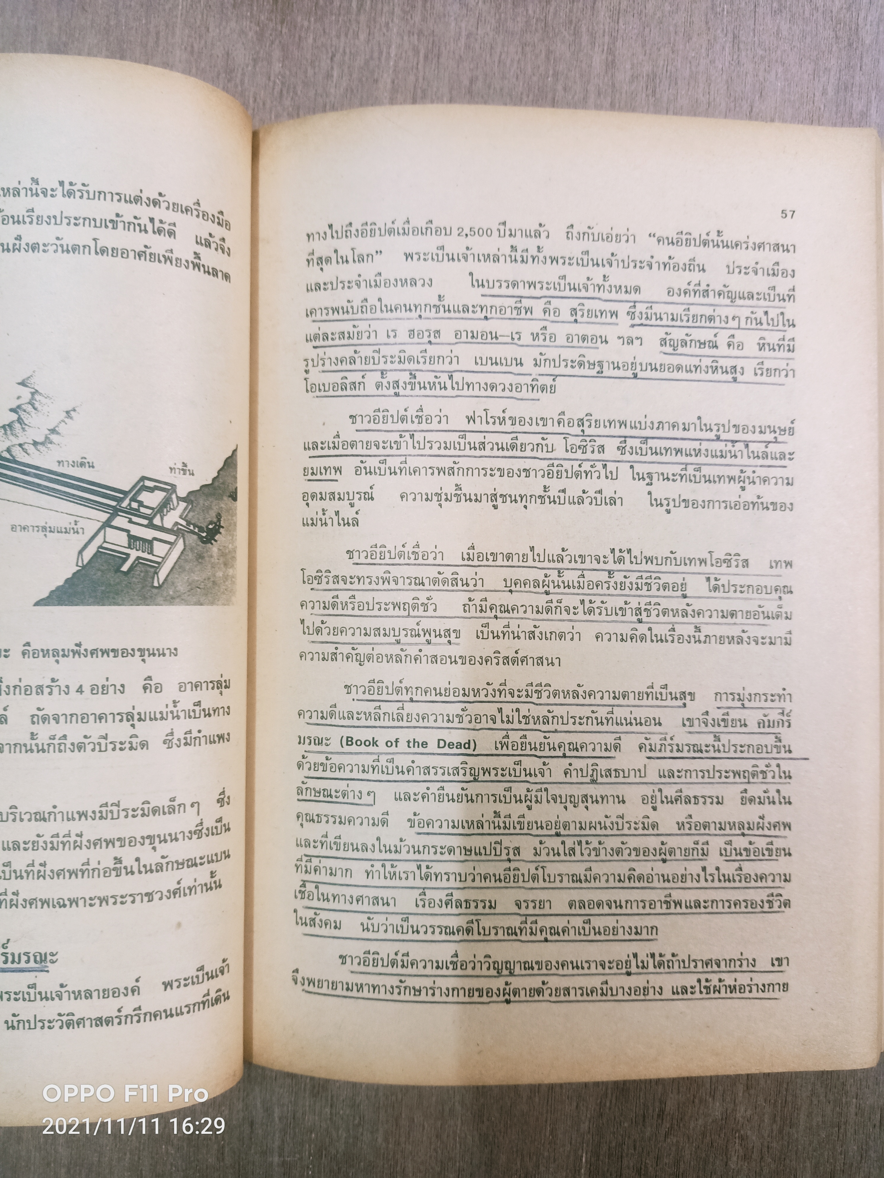 ประวัตศาสตร์ทั่วไป (หนังสือมีรอยขีดเส้นใต้) / ธิติมา พิทักษ์ไพรวัน