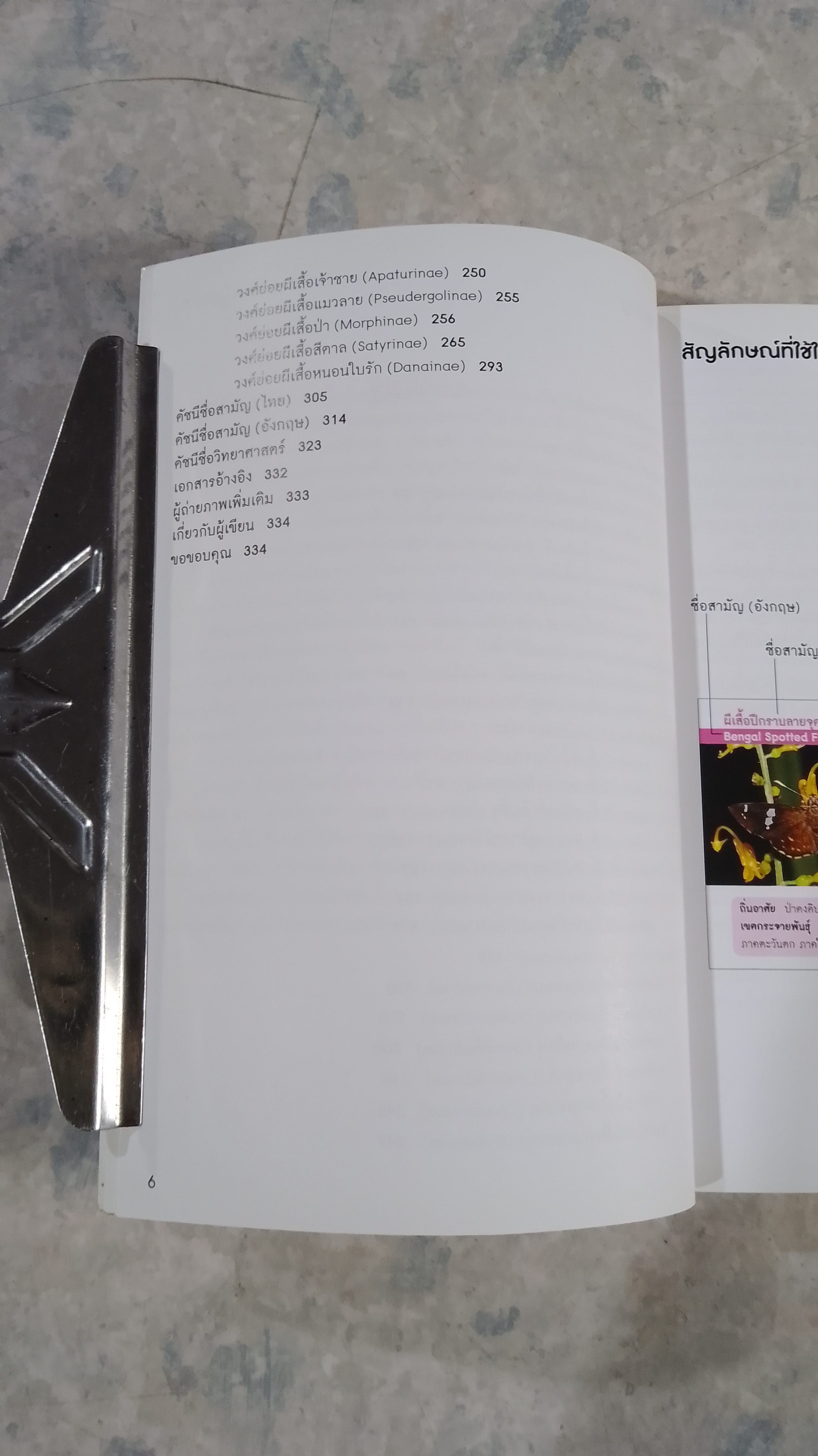 Thailand BUTTERFLY GUIDE / เกรียงไกร สุวรรณภักดิ์