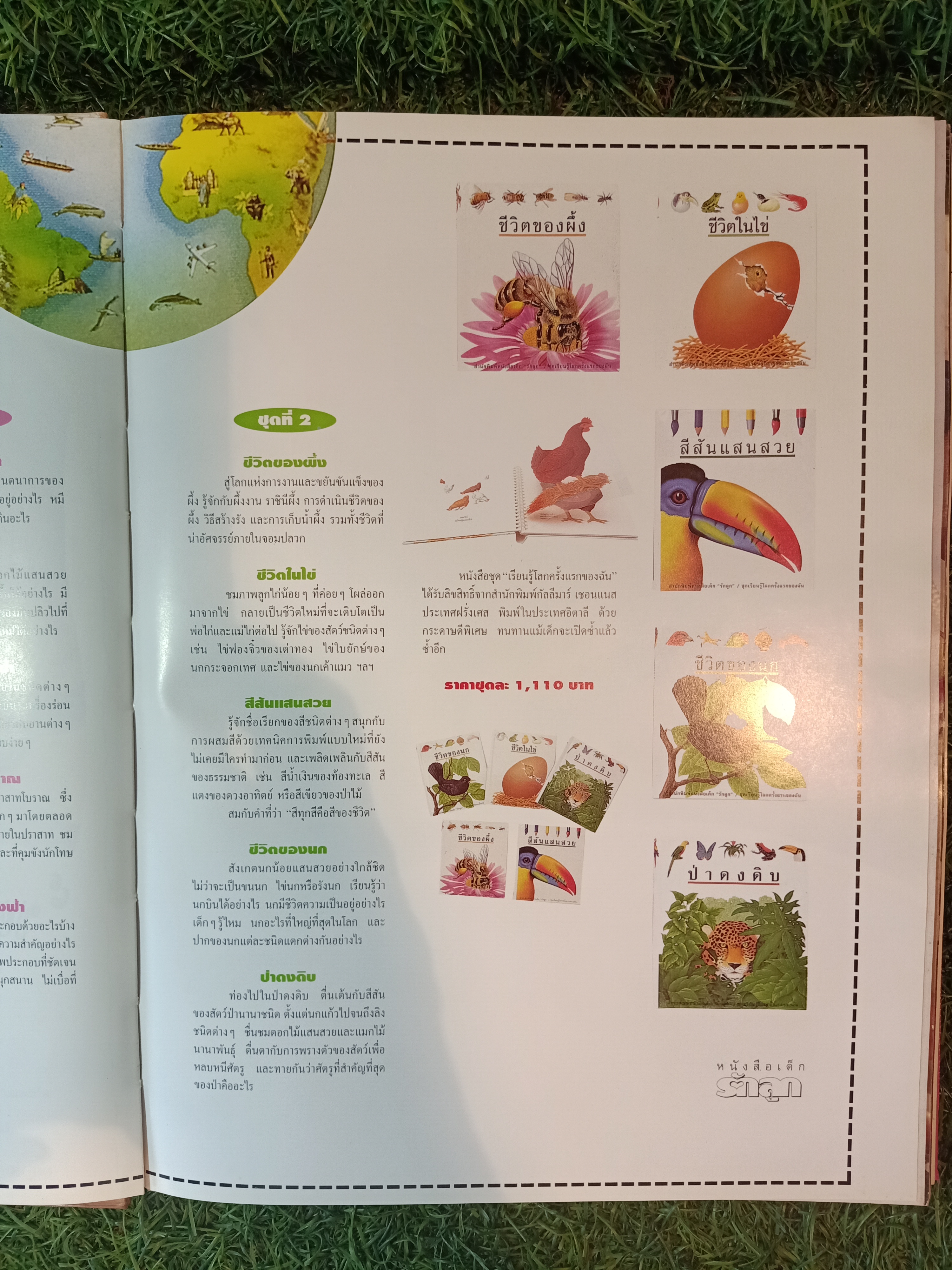 333 สูตรอาหาร "รักลูก" / รักลูก