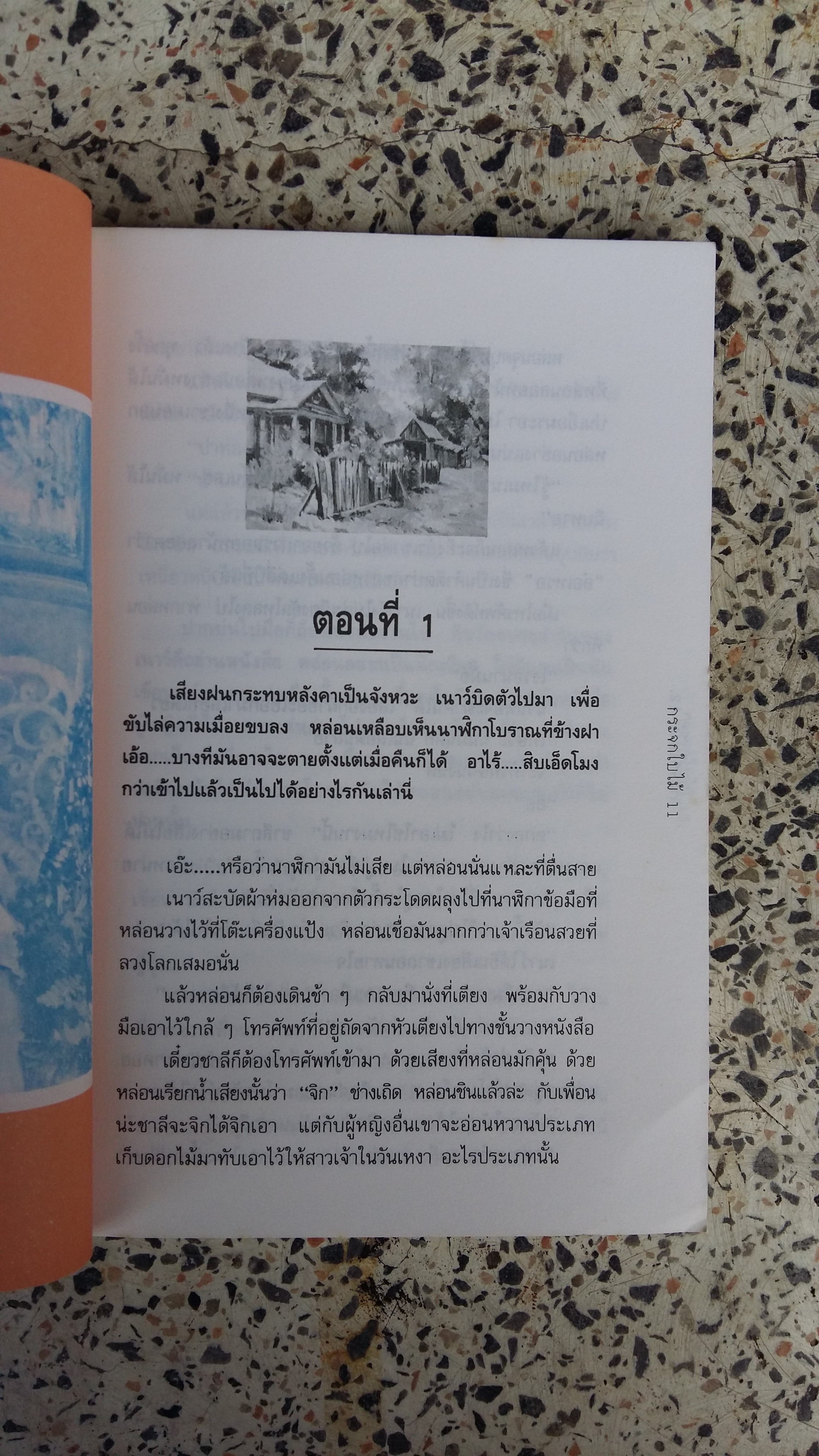 กระจกใบไม้ / วดีลดา เพียงศิริ