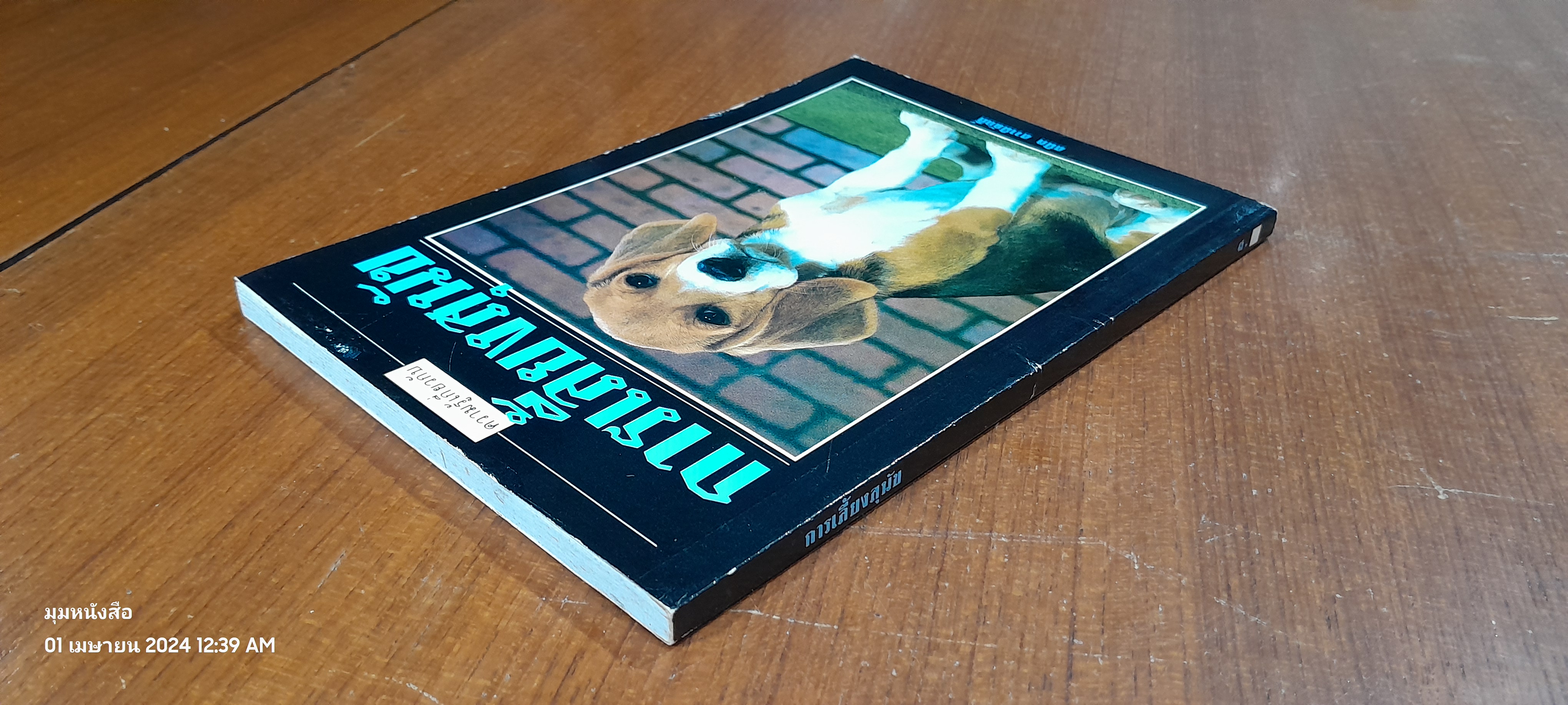 การเลี้ยงสุนัข / สมิต สวามิภักดิ์