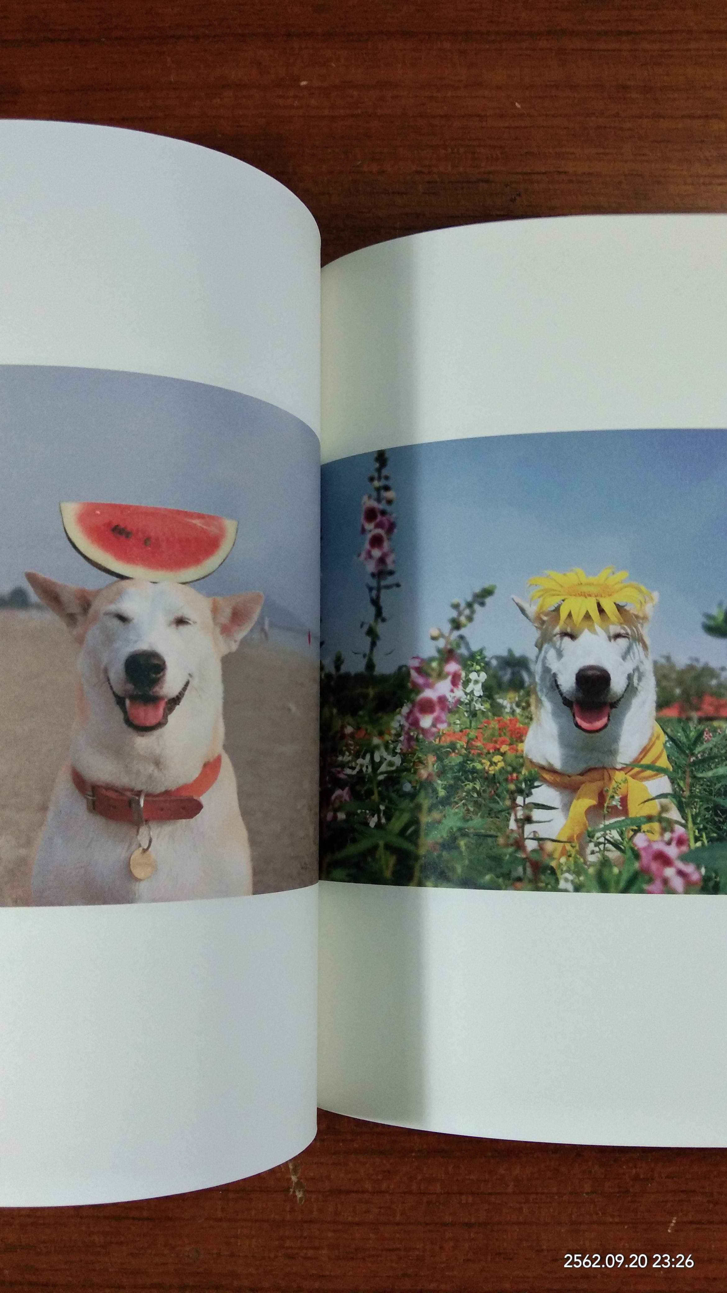 Gluta story / สรศาสตร์ วิเศษสินธุ์