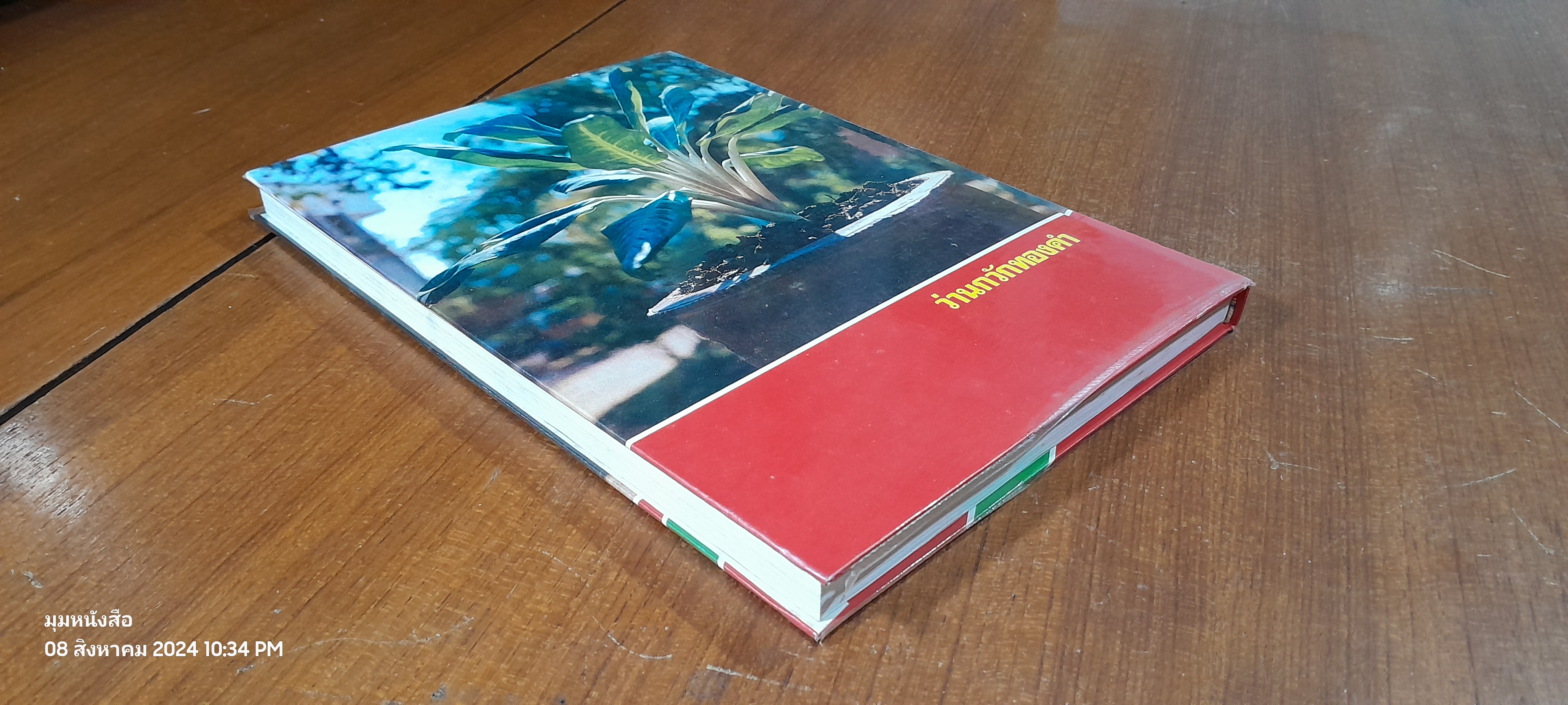 คัมภีร์ว่านและไม้มงคล / สนั่น ทวีสมบัติ