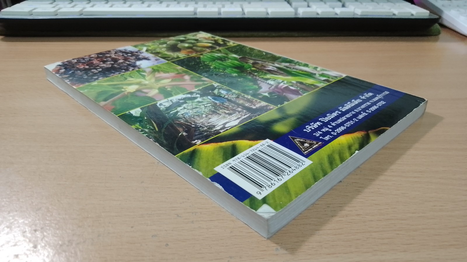 เกษตร สวนผลไม้