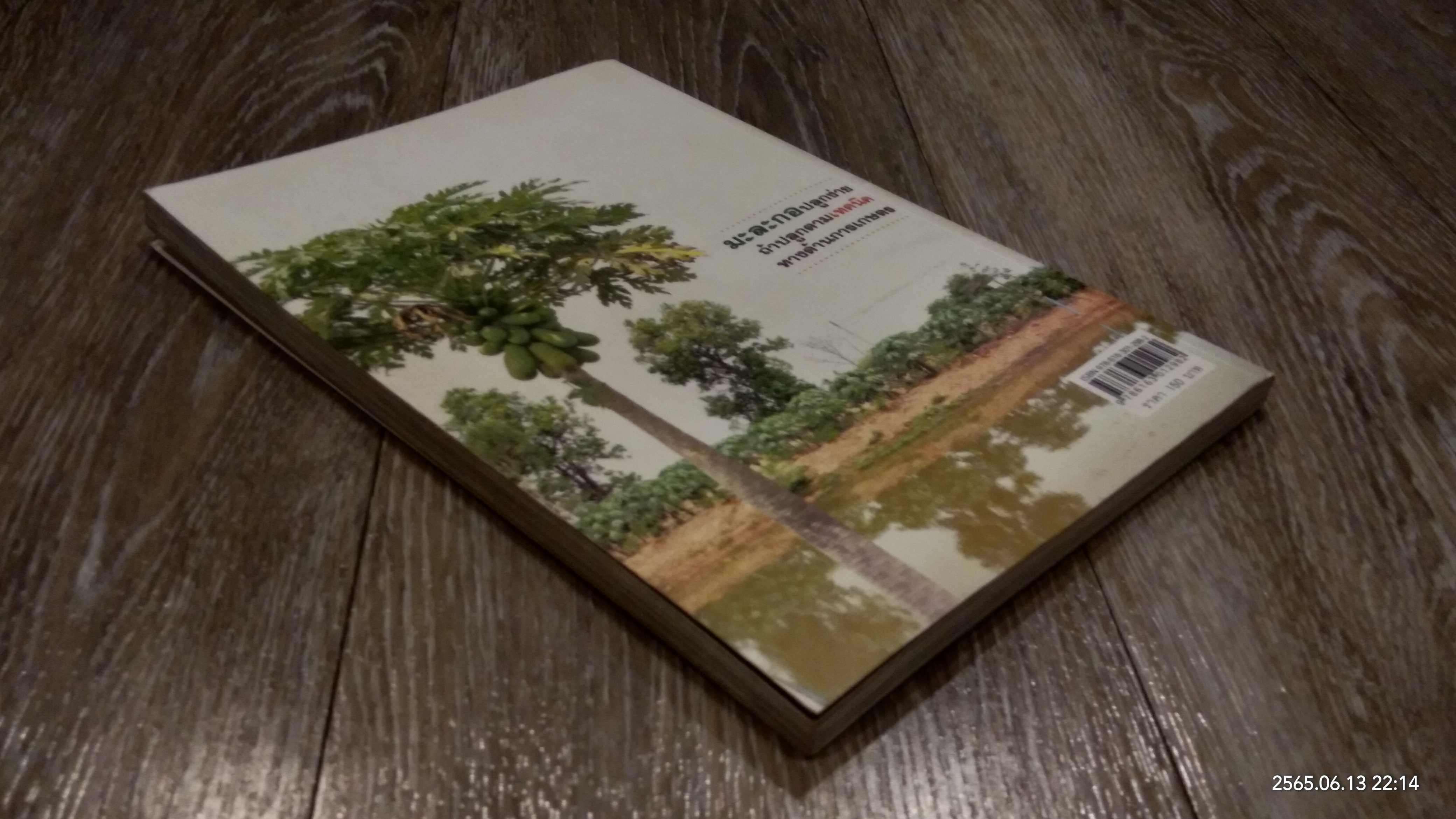 มะละกอ กำลังทำเงิน ปลูกได้รวย / มนตรี แสนสุข