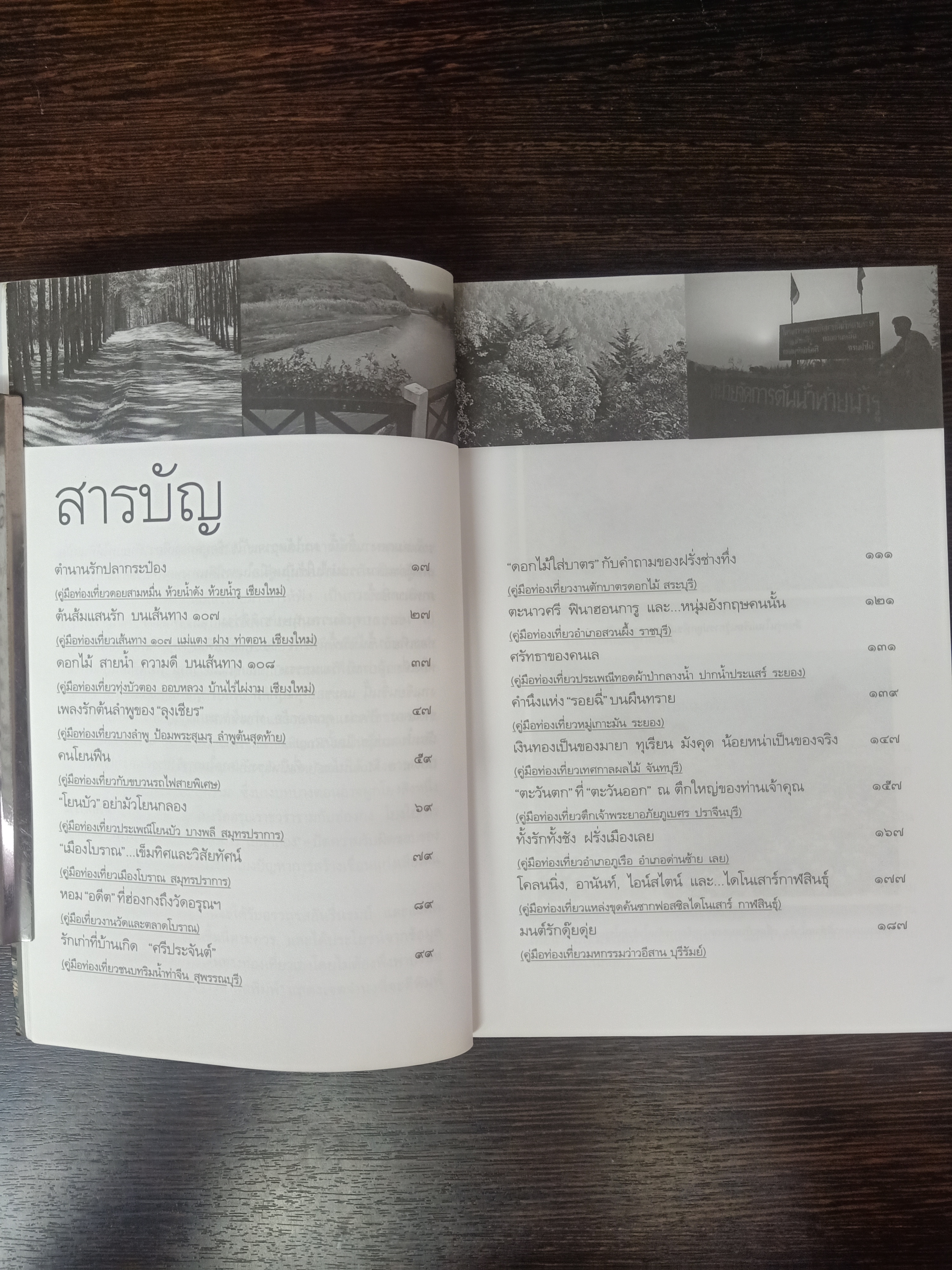 คนโยนฟืน / ธรภาพ โลหิตกุล