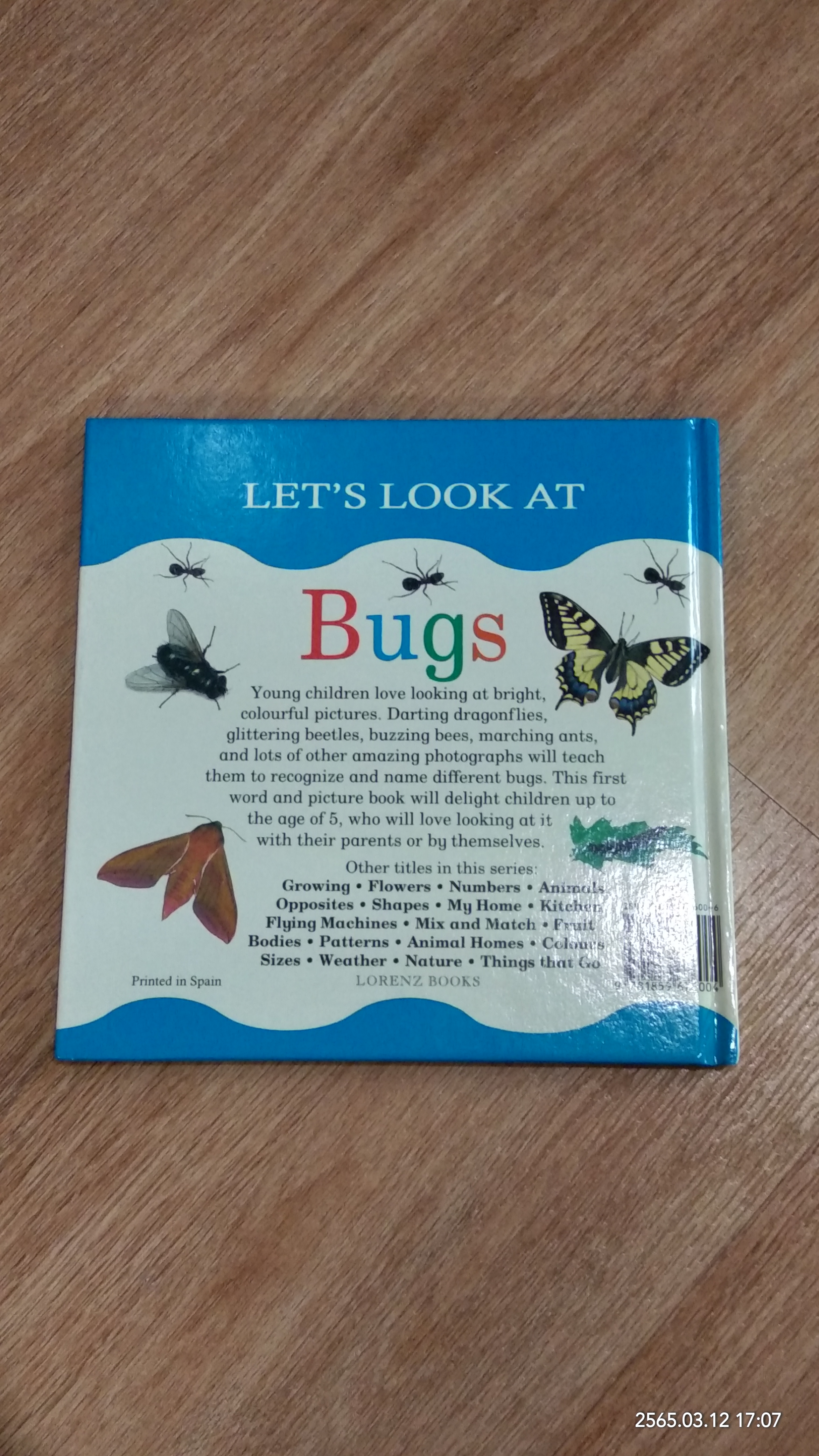 LET' S LOOK AT Bugs