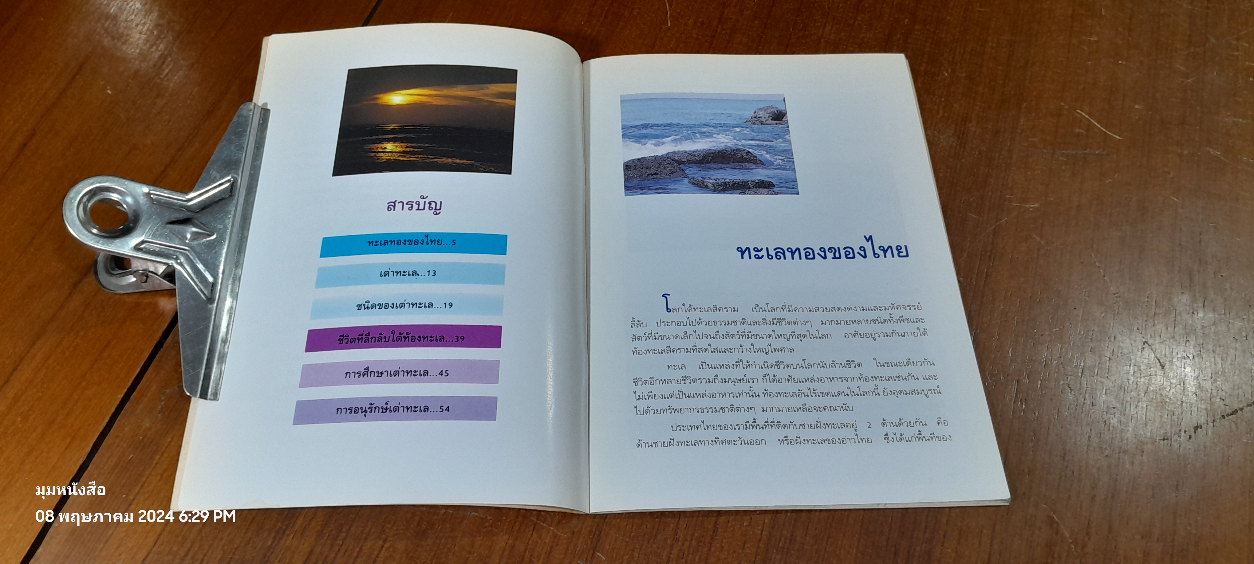 เต่าทะเล / สมัย สุทธิธรรม