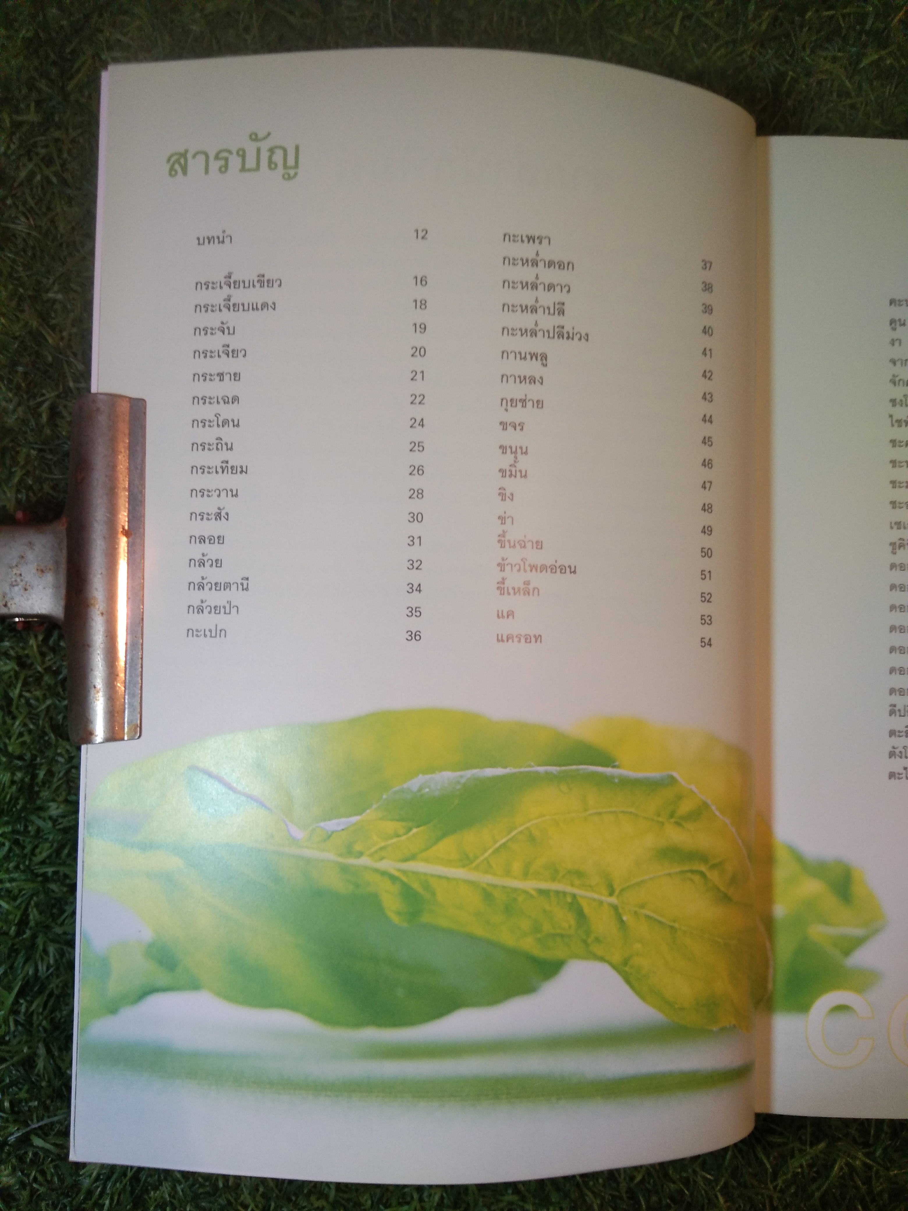 คุณค่าอาหารและการกิน ผัก๓๓๓ ชนิด / แสงแดด (สภาพไม่สมบูรณ์)