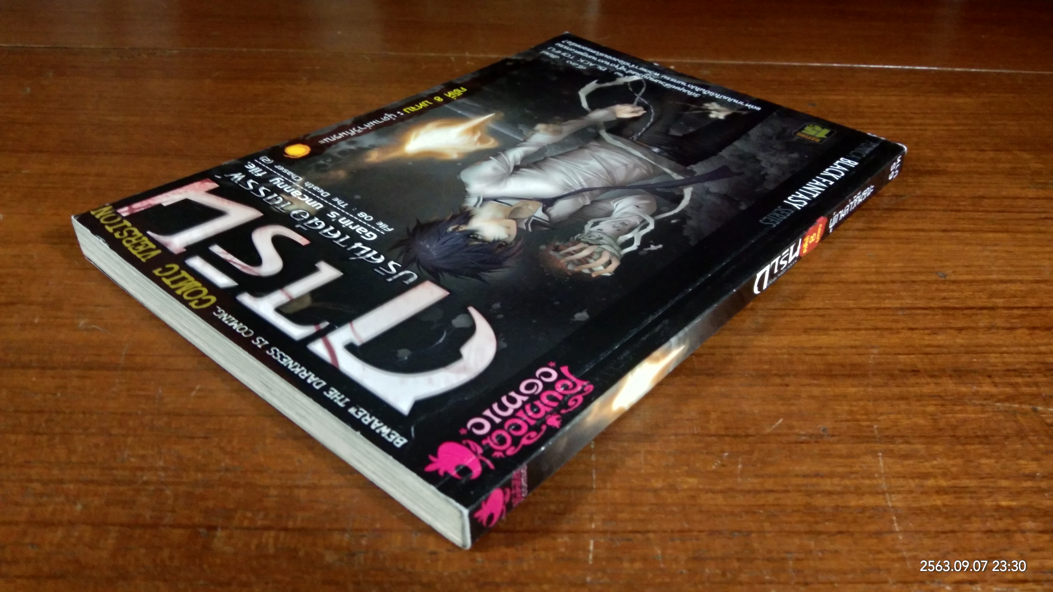 การิน ปริศนาคดีอาถรรพ์ : คดีที่ 8 บทจบ / อัยย์