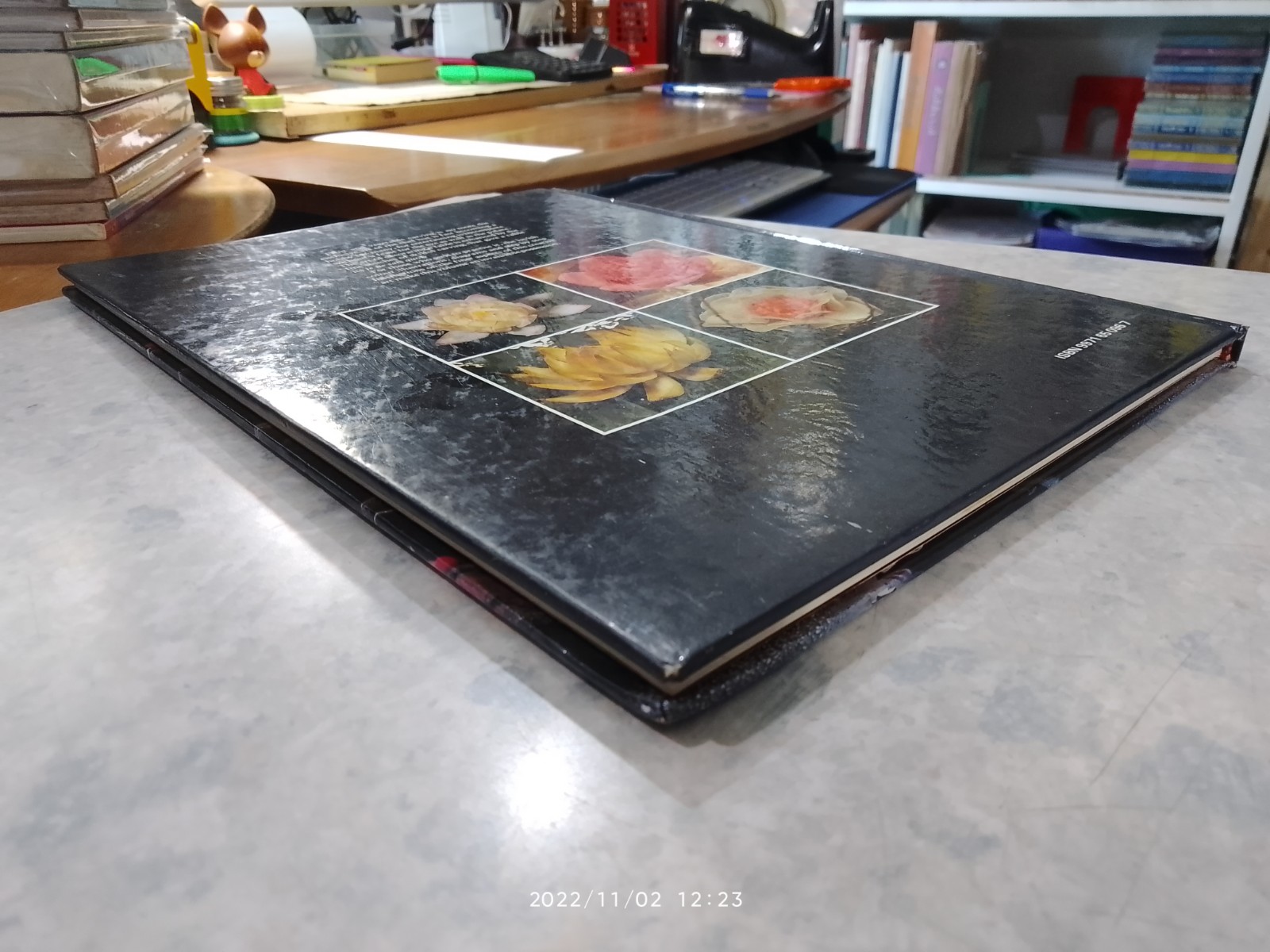 Fruit and Vegetable Caruing / Meera John Jacob