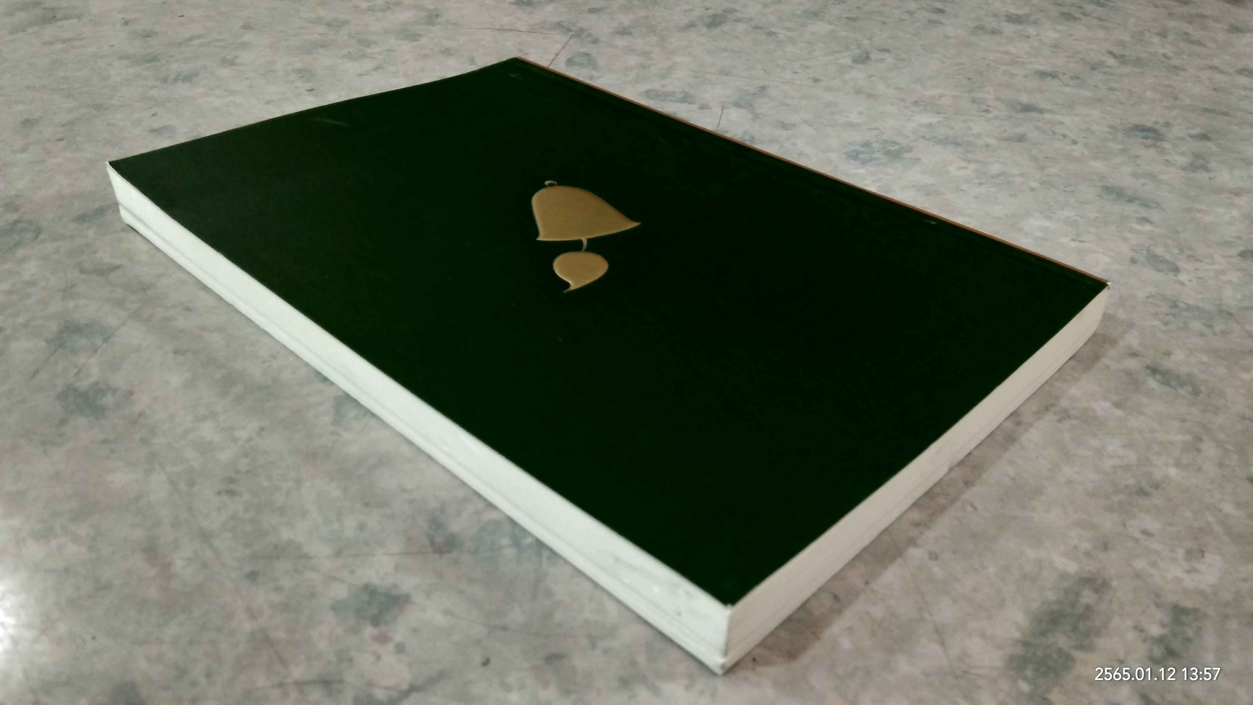 เทคนิคการเจริญวิปัสสนา ตามนัยสติปัฏฐาน / โสรโท ภิกขุ