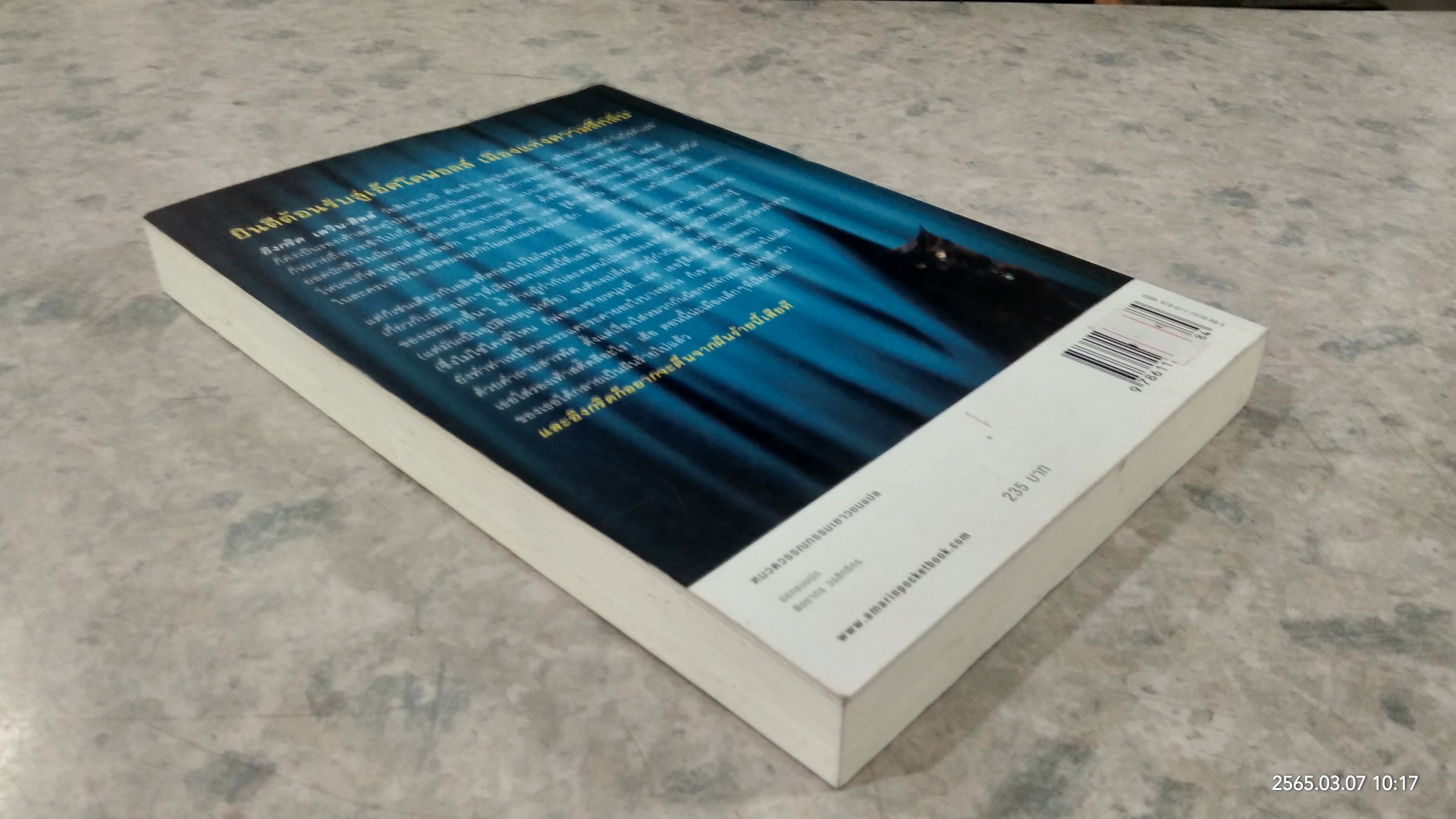 นักสืบน้อยแห่งเอ็คโคฟอลส์ ตอน โพรงพิศวง / ปีเตอร์ เอเบรอแฮมส์