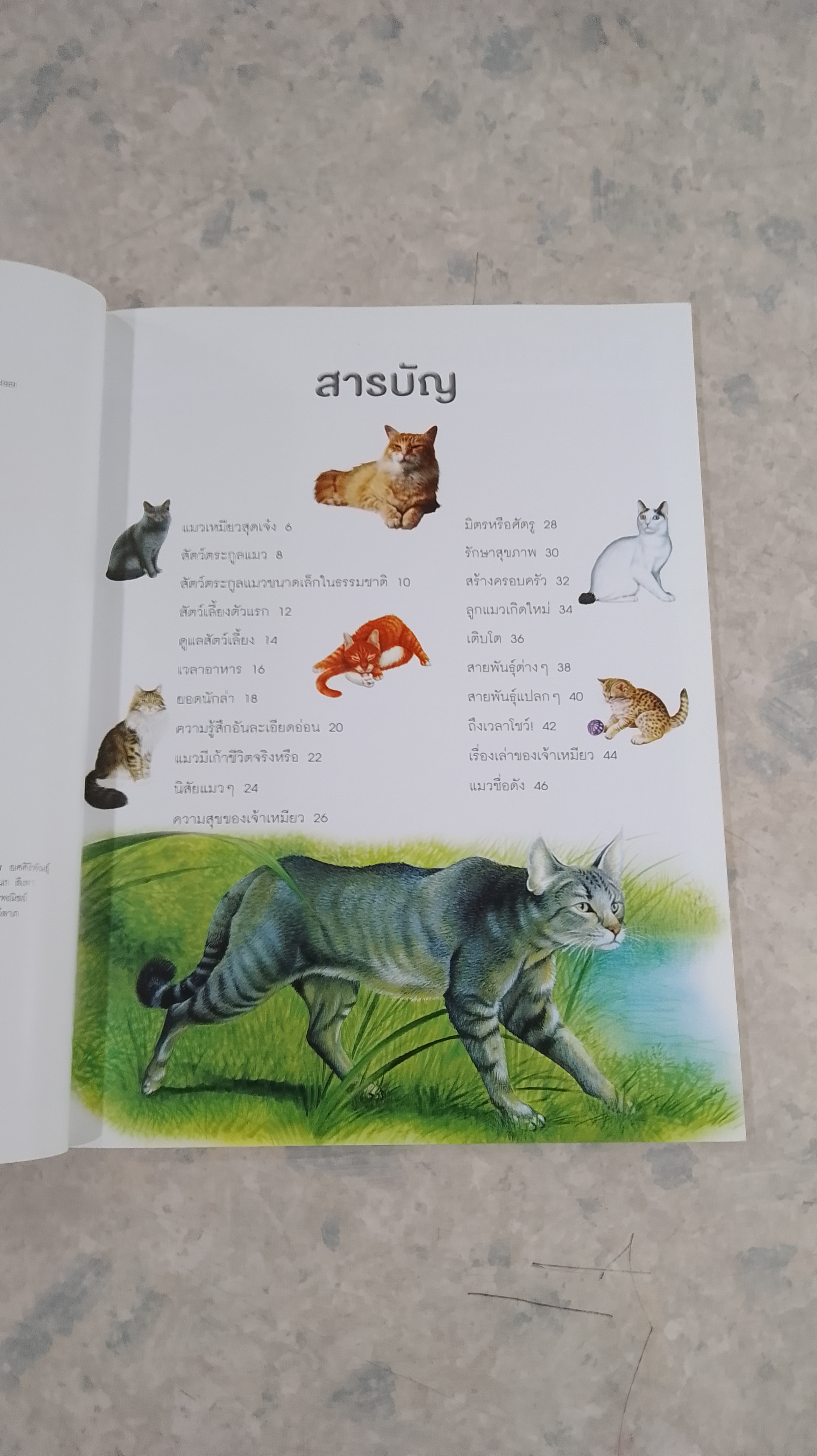 100 เรื่องน่ารู้เกี่ยวกับ แมว (มีรอยขีดเขียนด้านใน)