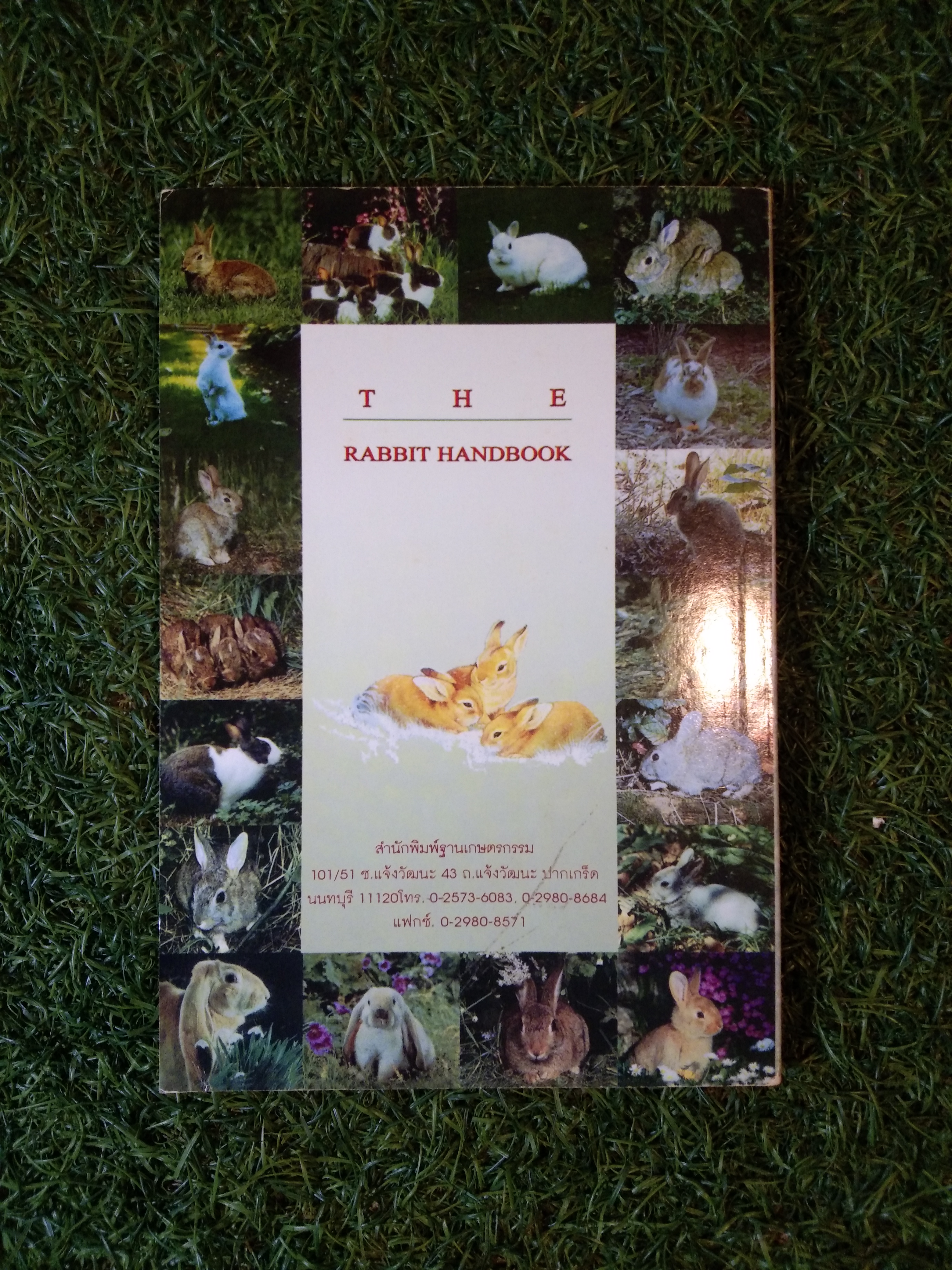 คู่มือกระต่าย THE RABBIT HANDBOOK / กณิกนันท์ ลีฬฆวรรณ