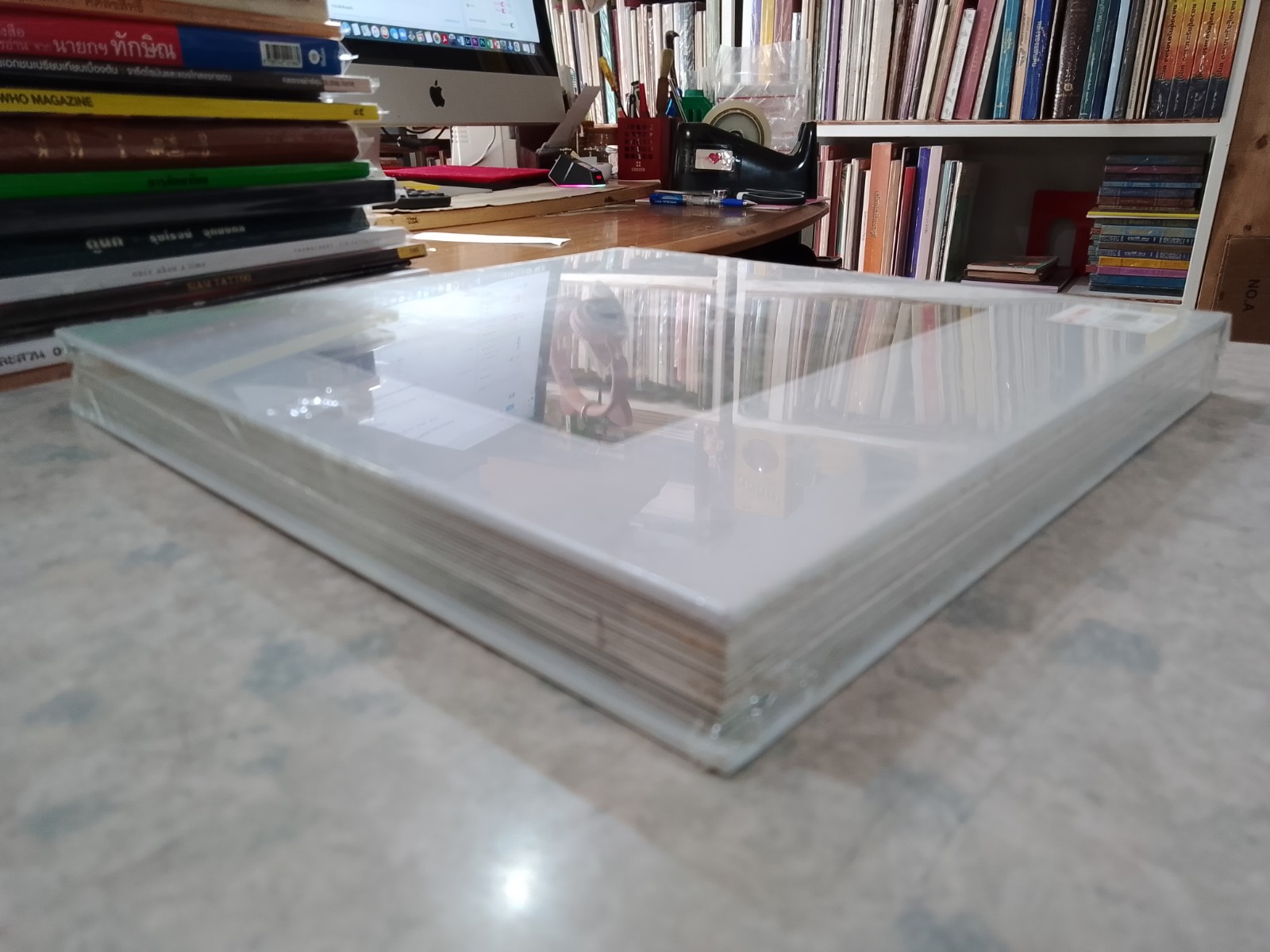 ปีกสวย พันสี...ที่ภูพิงค์