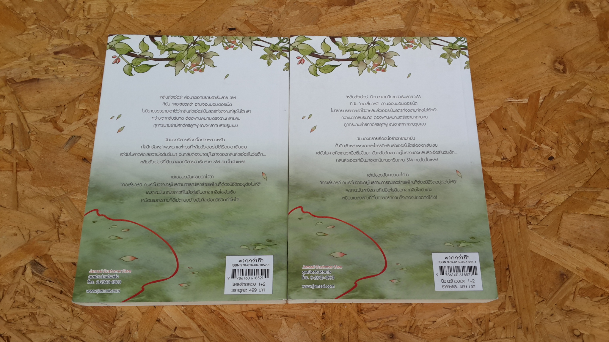 นิยายรักอลเวง (2เล่มจบ) / จวี๋ฮวาชั่นหลี่