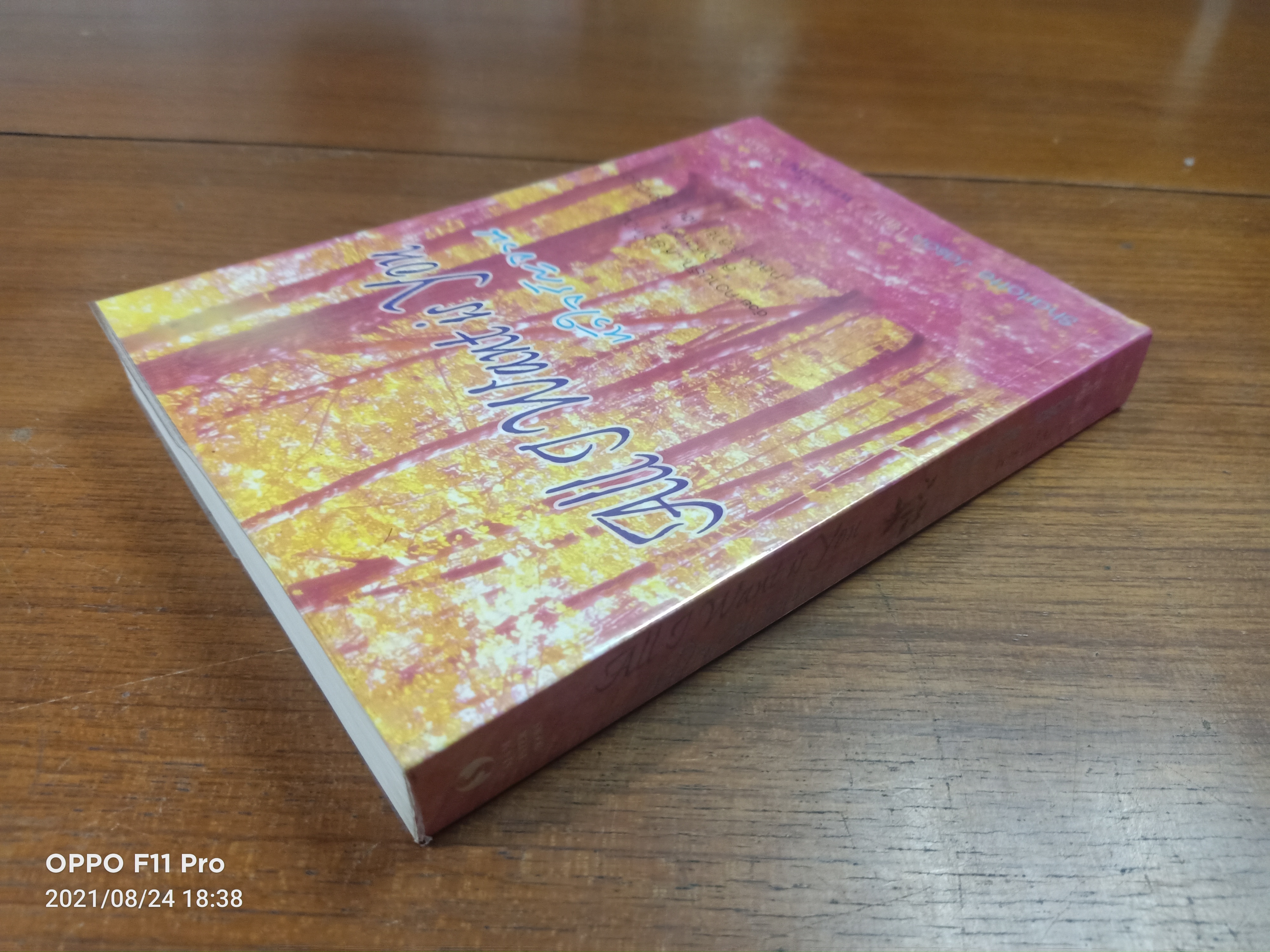 All I Want is You หัวใจรัญจวน / Sharlotte Jason เขียน : พรรณโสภา แปล