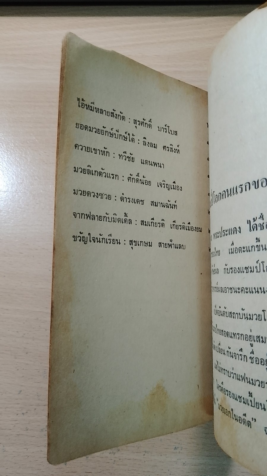 สิงห์สังเวียน / "สิงห์โดม"