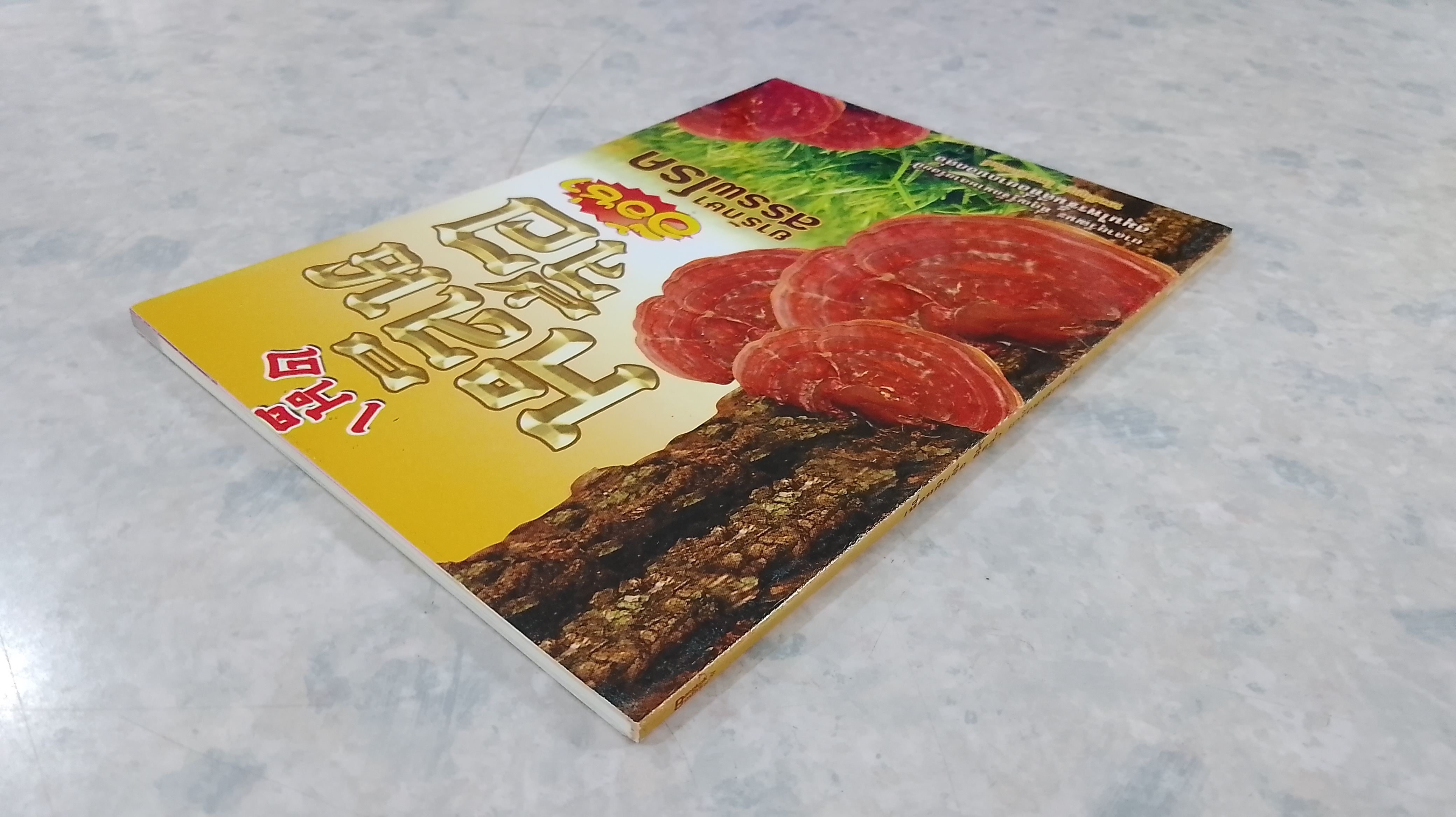 เห็ดหลินจือ อื้อซ่า ยารักษาสรรพโรค / นพ.ปัญญา ไพศาลอนันต์