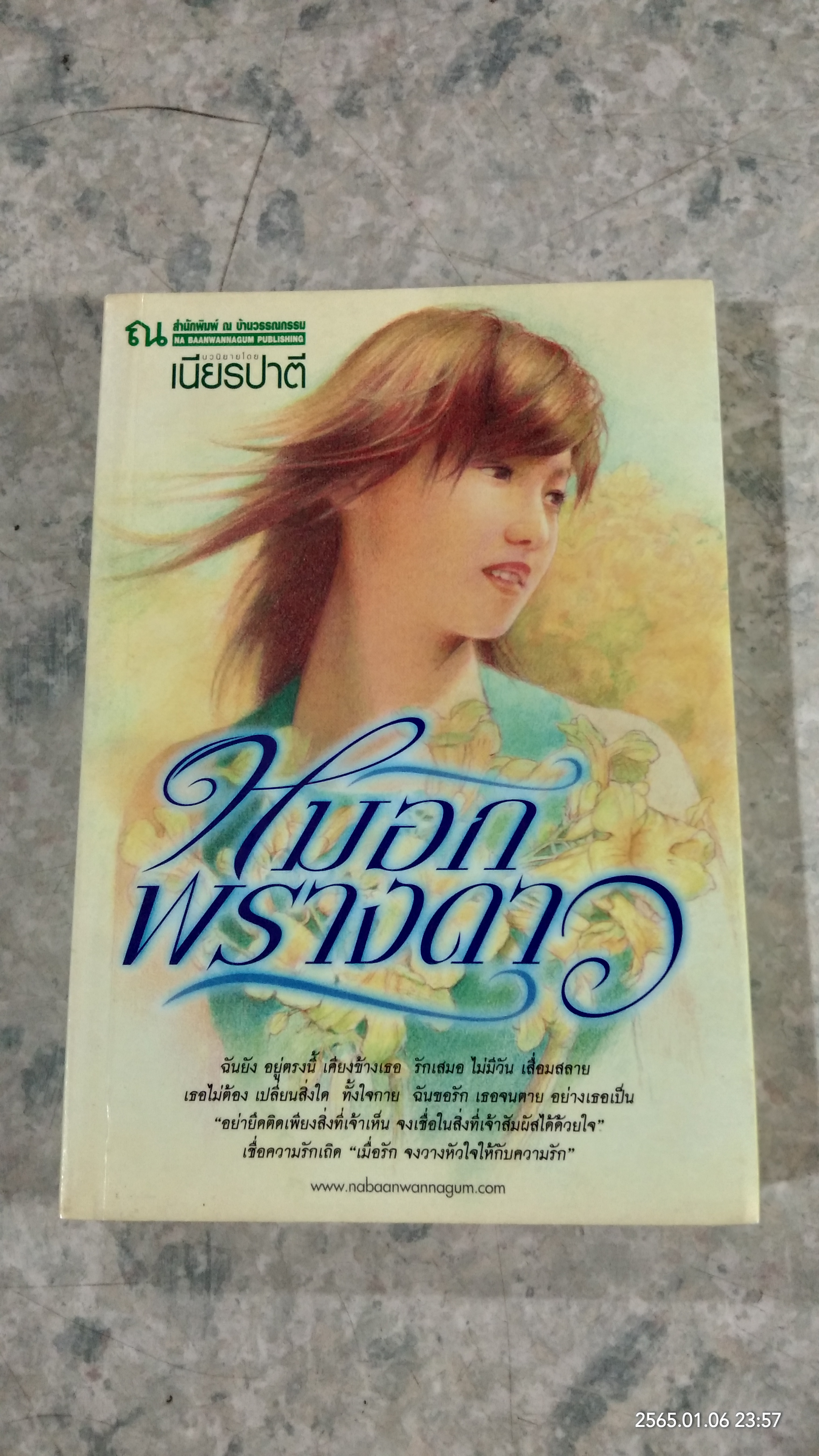 หมอกพรางดาว / เนียรปาตี
