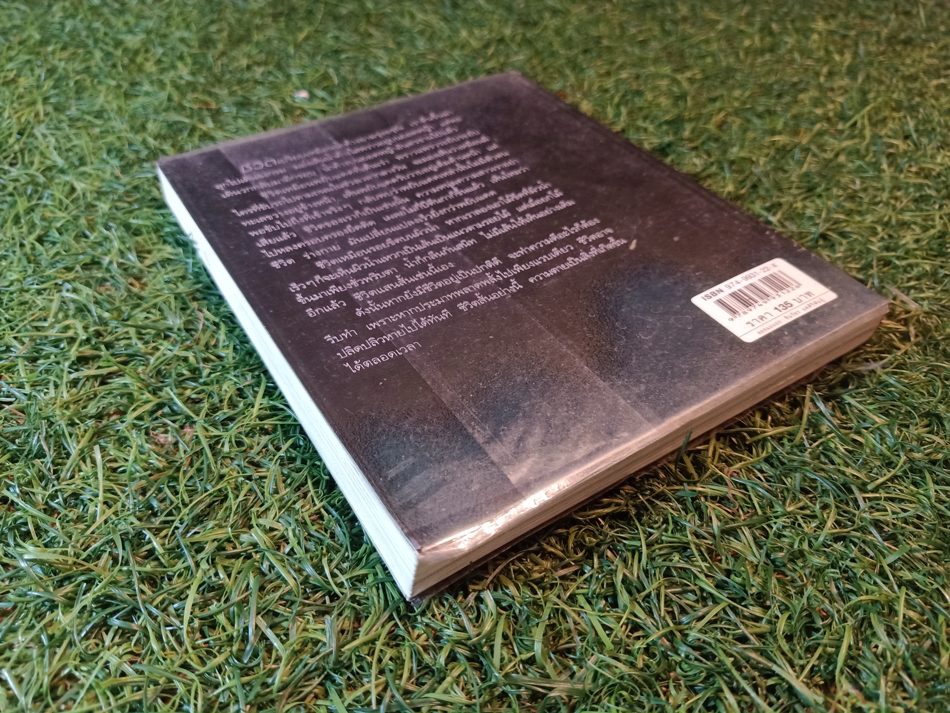 สบตา กับความตาย / ว.วชิรเมธี