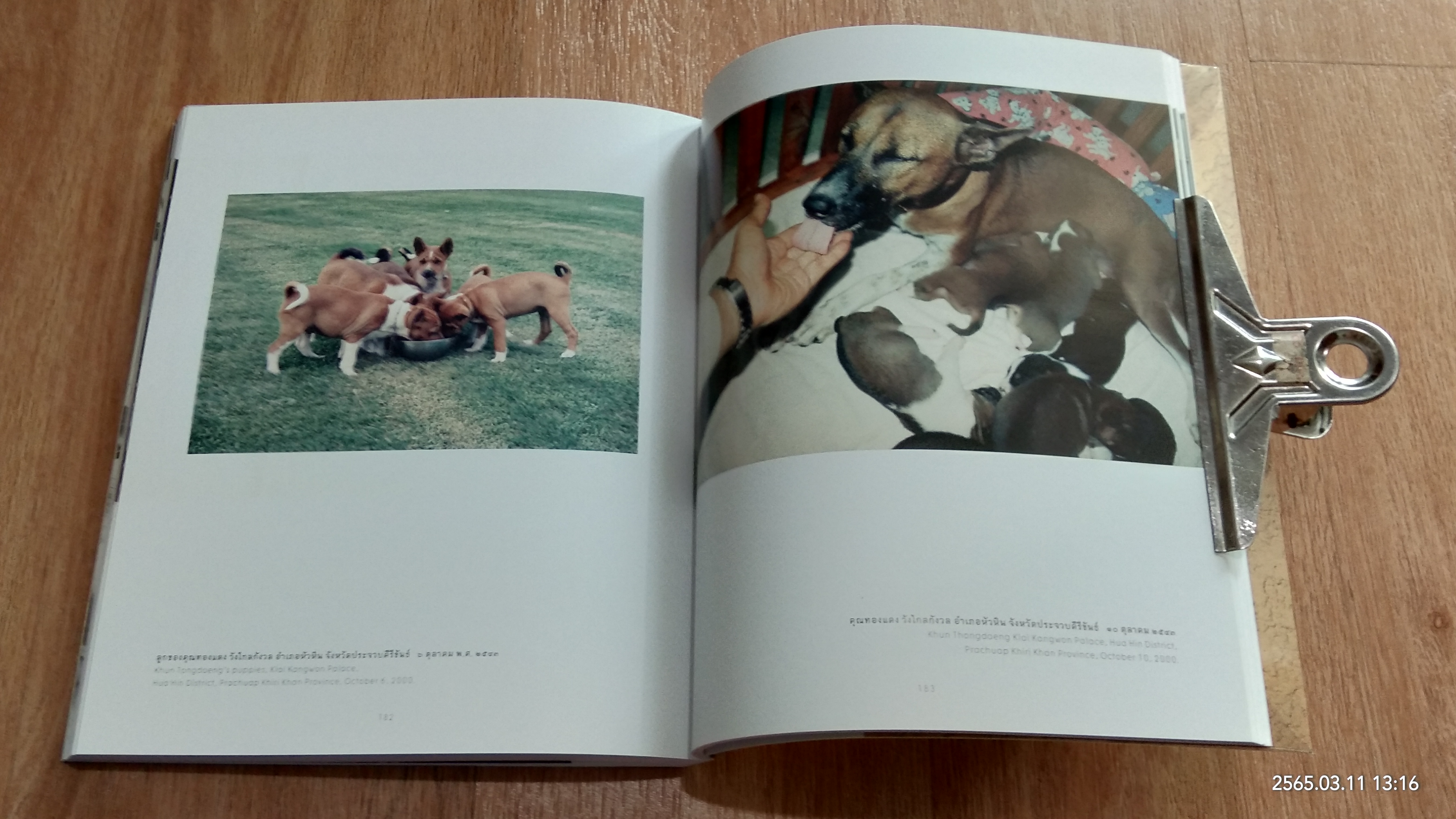 ภาพถ่ายฝีพระหัตถ์ พระบาทสมเด็จพระปรมินทรมหาภูมิพลอดุลยเดช บรมนาถบพิตร