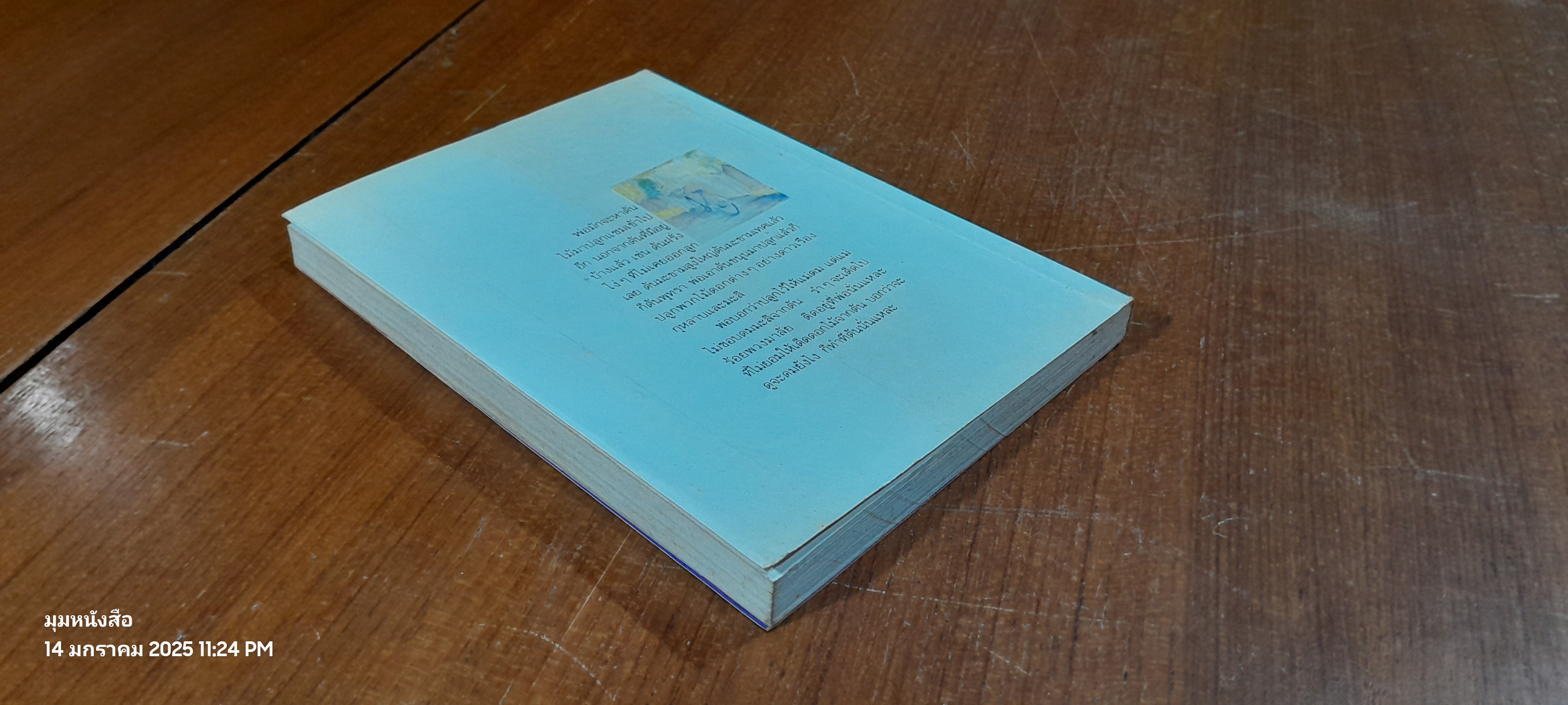 บายไม่รู้โรย / ปินดา โพสยะ