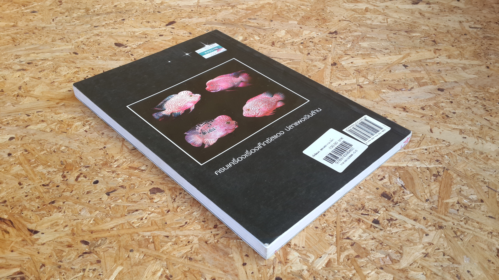 เท็กซัสแดง สุดยอดปลางามเงินล้าน